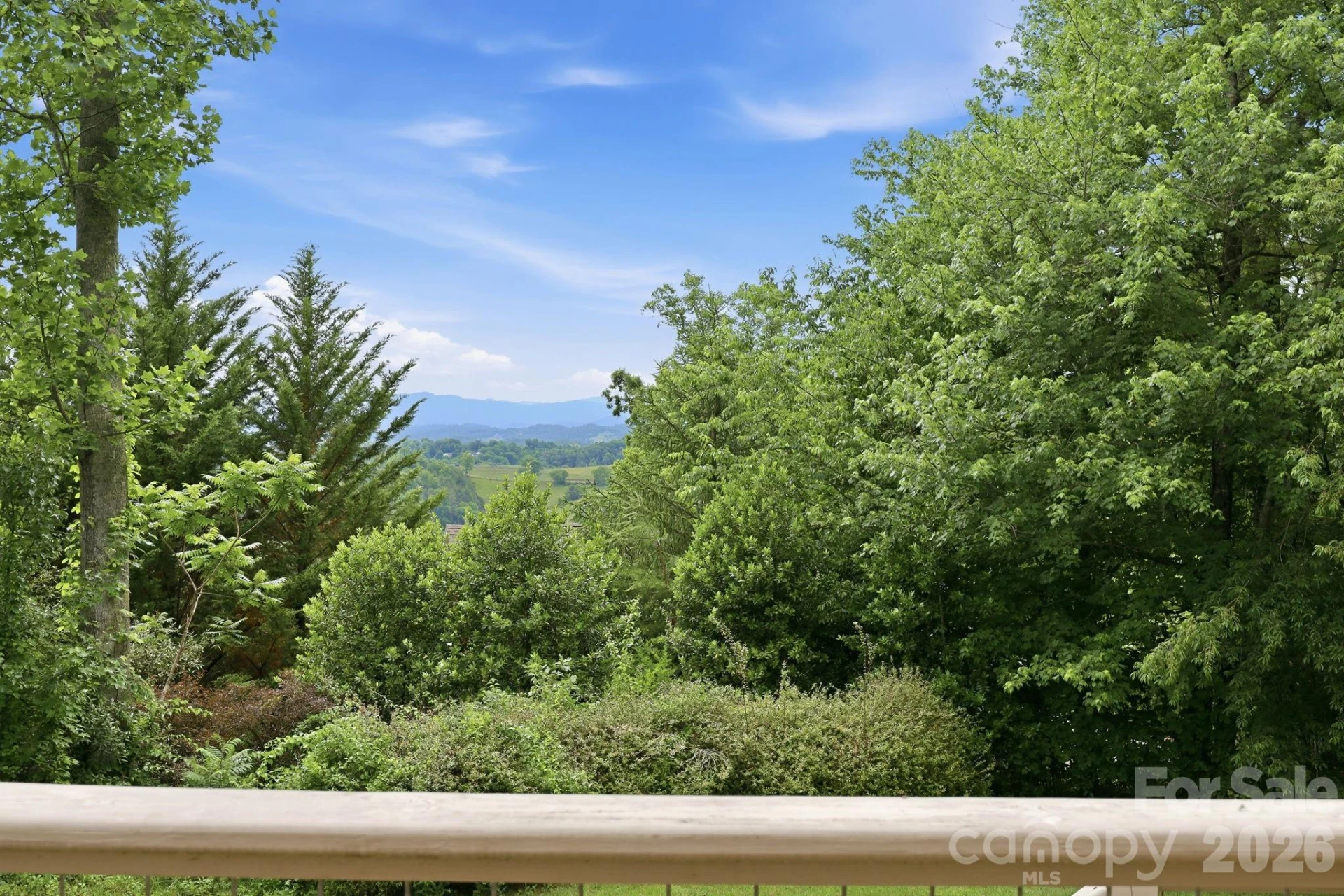 65 Buckle Ridge - Photo 16