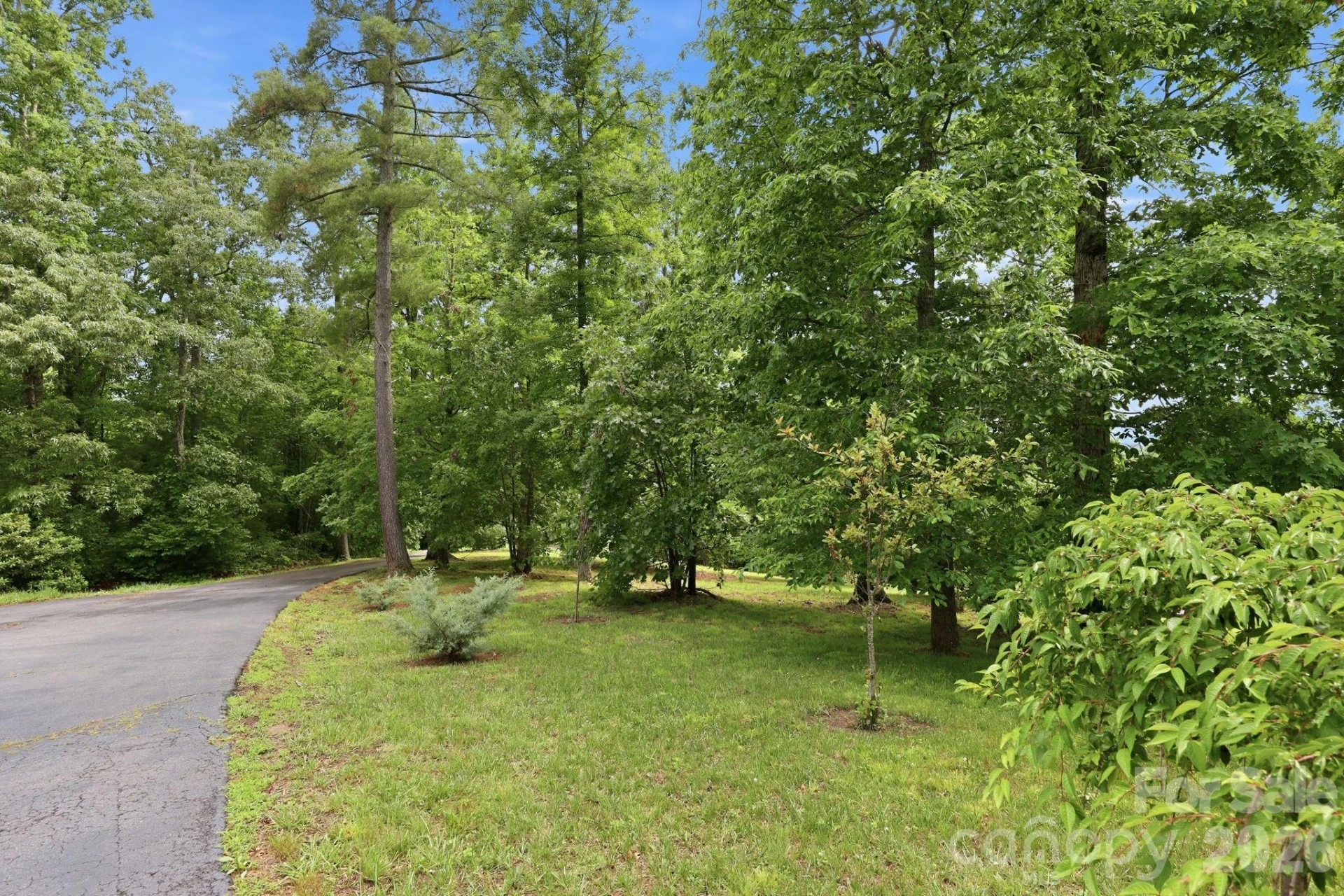 65 Buckle Ridge - Photo 8