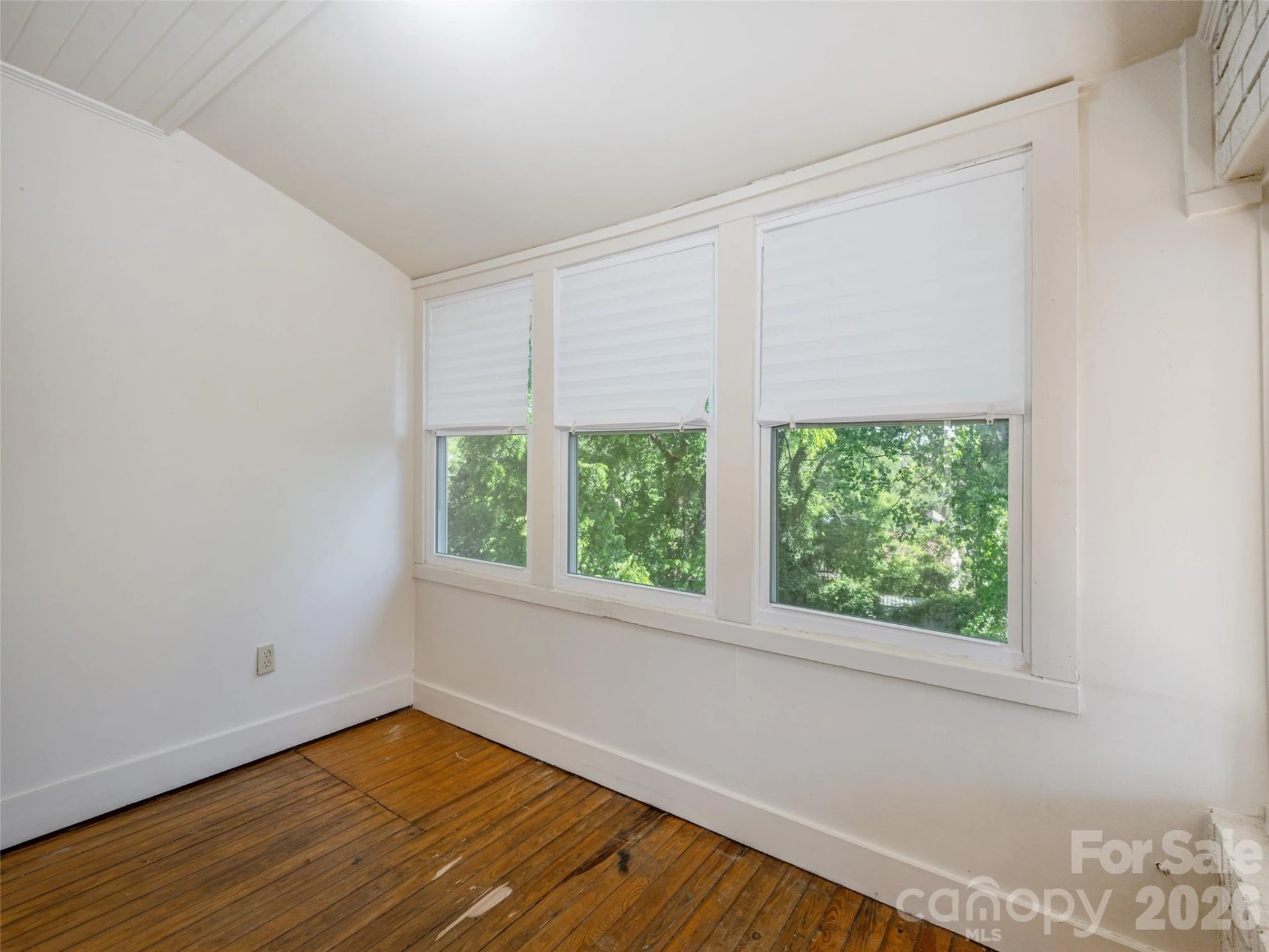 891 Haywood Road - Photo 8