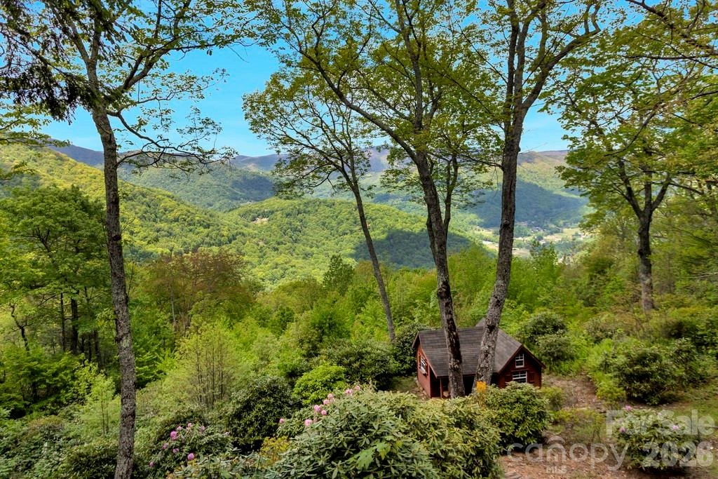 35 Falcon Crest Loop - Photo 41