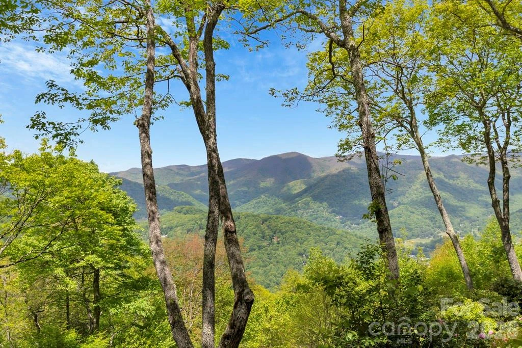 35 Falcon Crest Loop - Photo 42