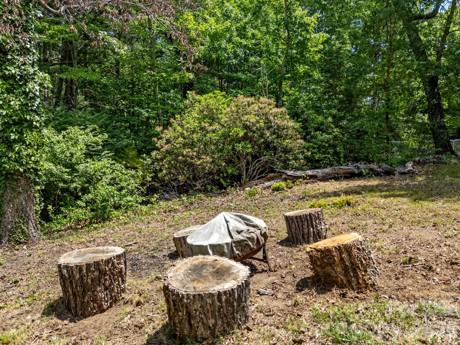 707 Dogwood Trail - Photo 45