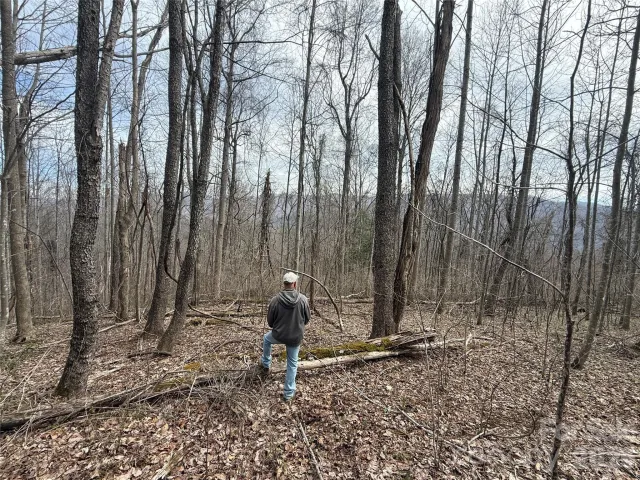 000 Caldwell Mountain Road