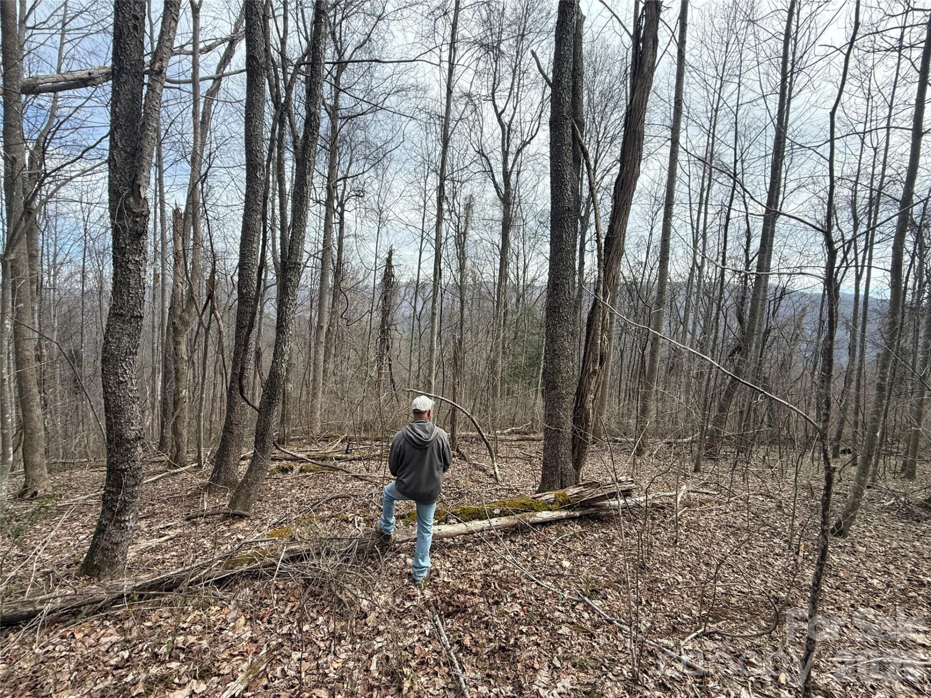 000 Caldwell Mountain Road