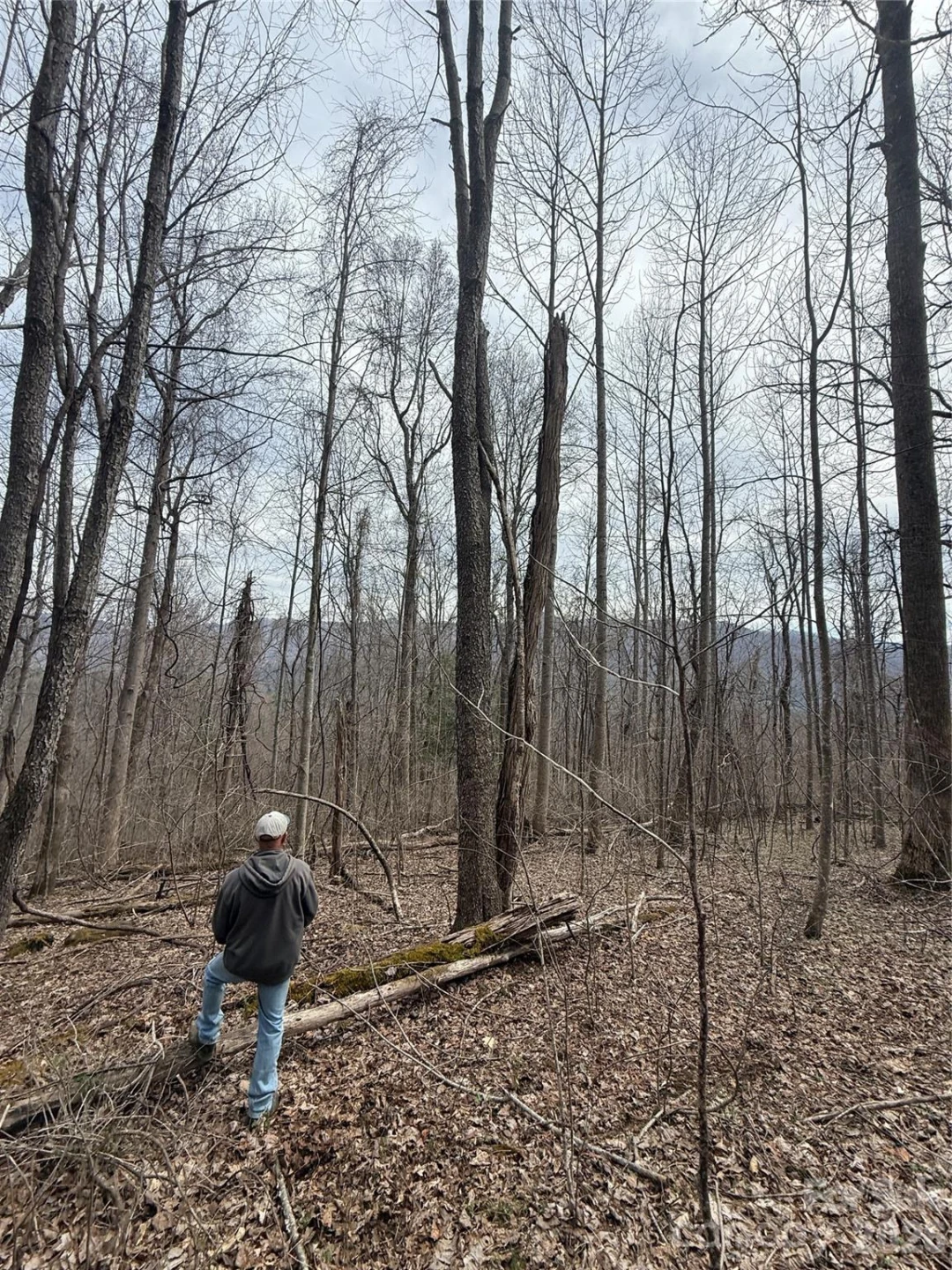 000 Caldwell Mountain Road - Photo 2