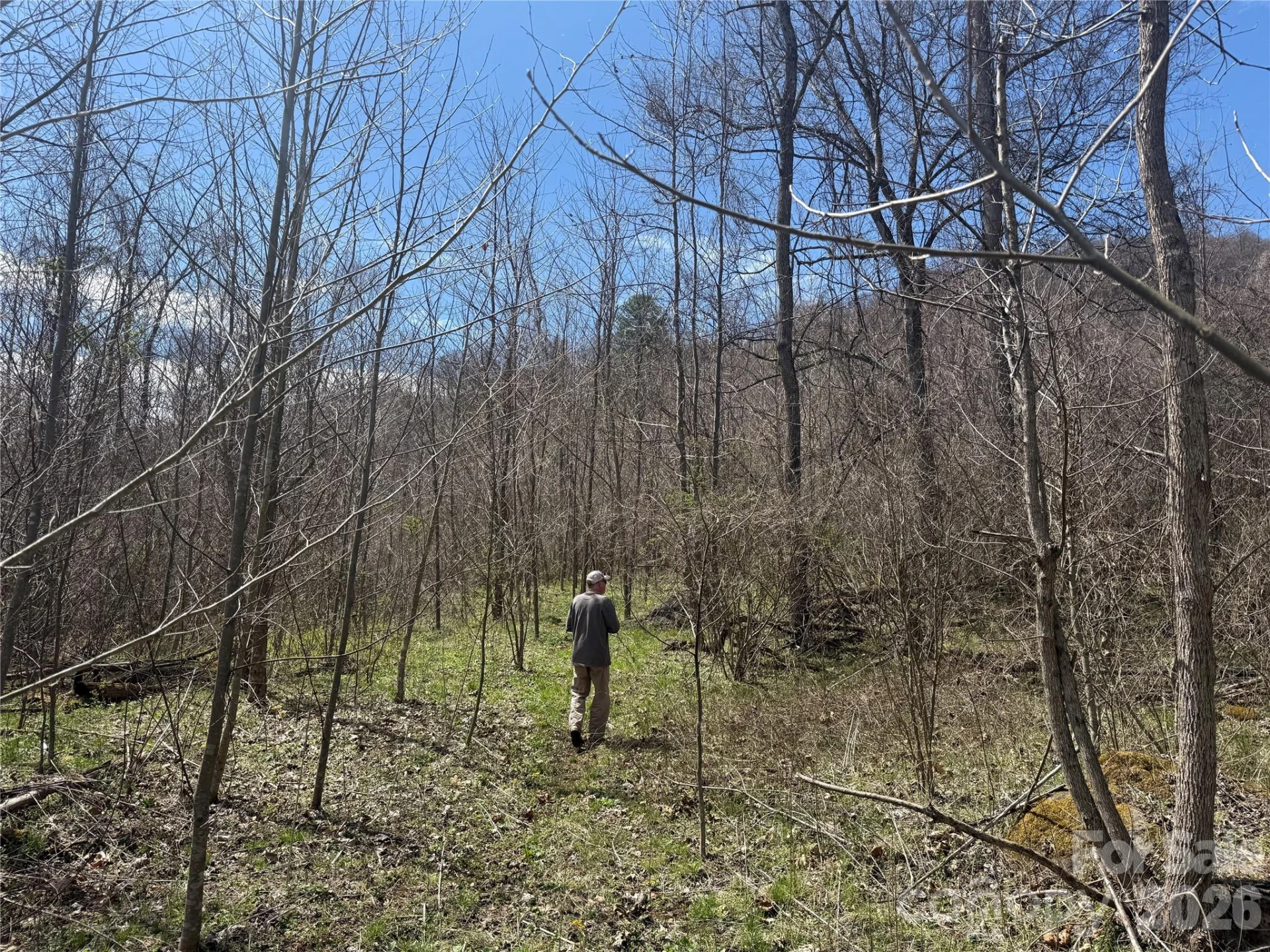 000 Caldwell Mountain Road - Photo 11