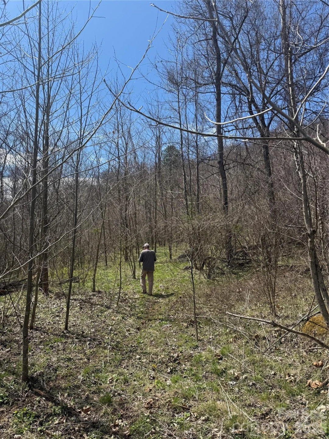 000 Caldwell Mountain Road - Photo 12