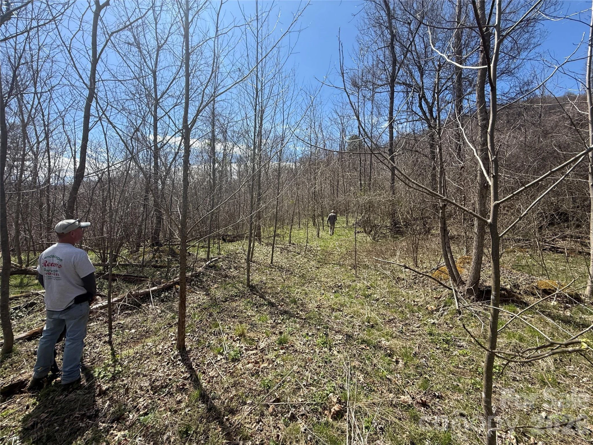 000 Caldwell Mountain Road - Photo 13