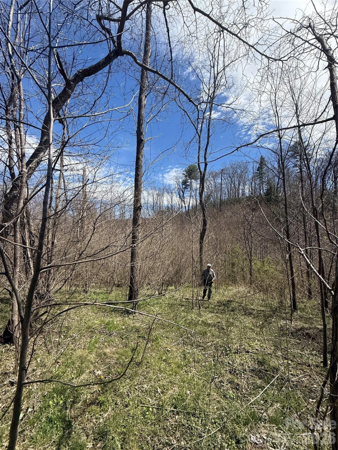 000 Caldwell Mountain Road - Photo 14