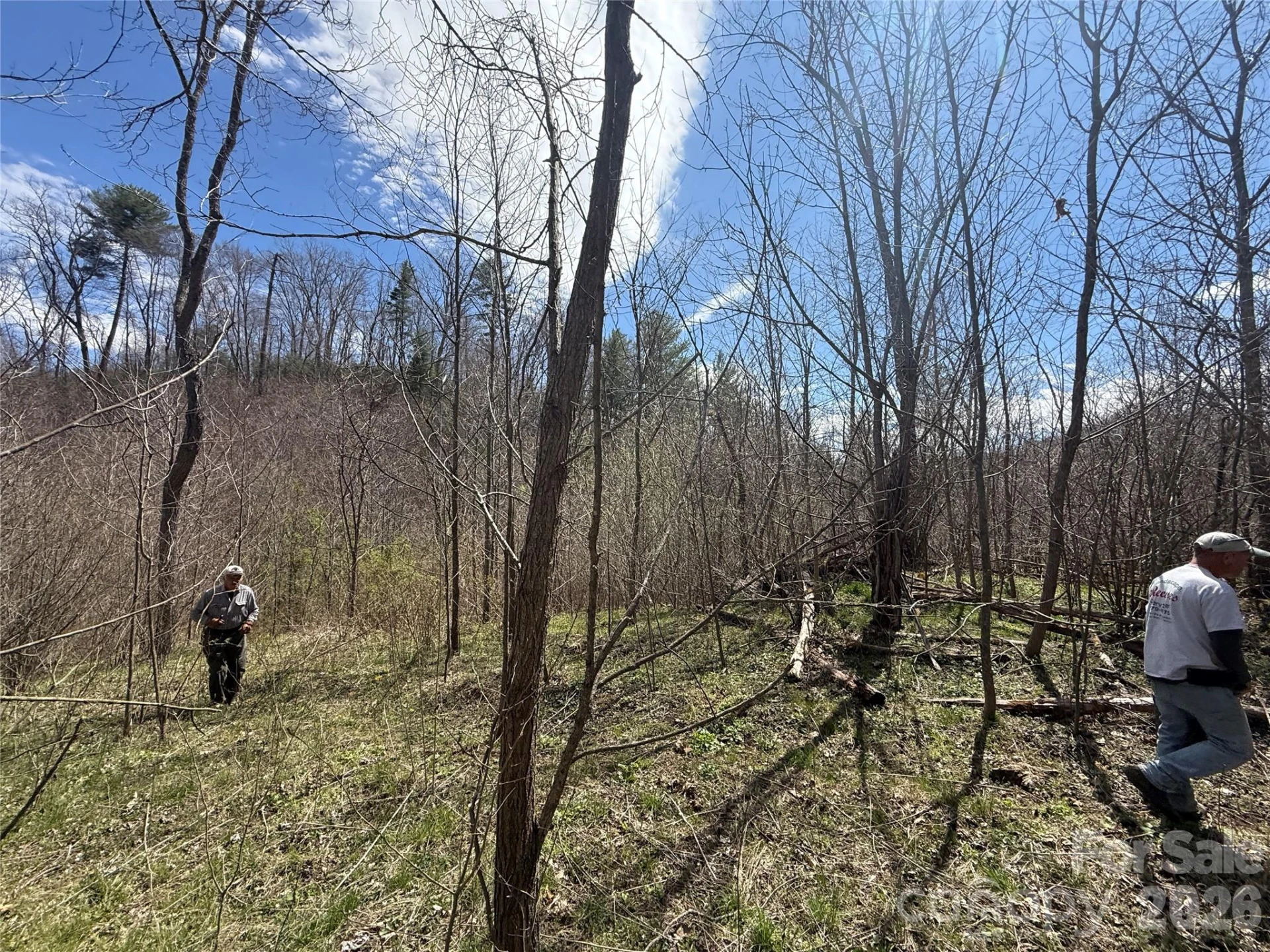 000 Caldwell Mountain Road - Photo 15