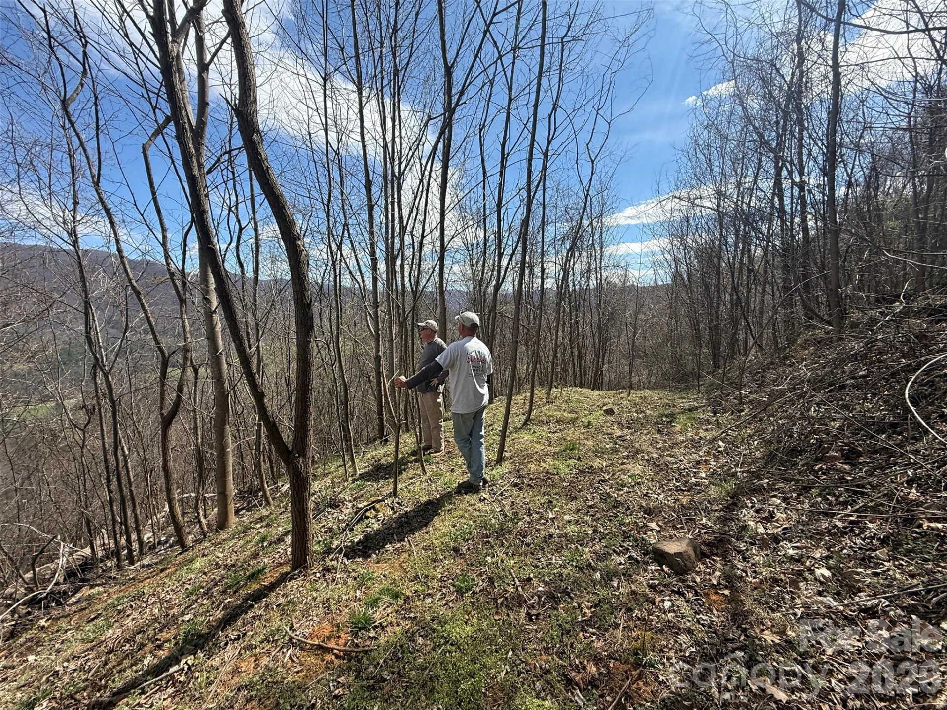 000 Caldwell Mountain Road - Photo 16