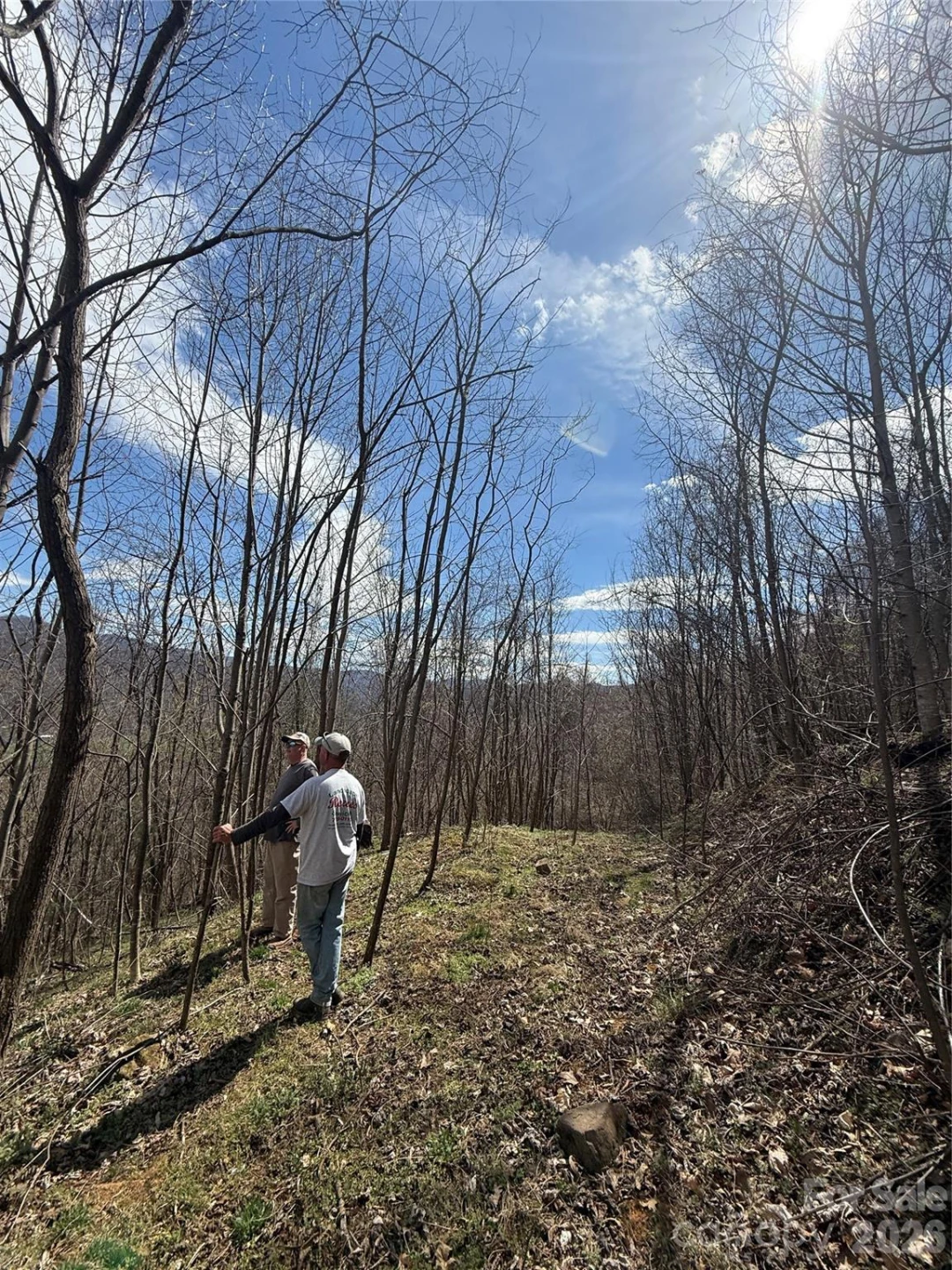 000 Caldwell Mountain Road - Photo 17