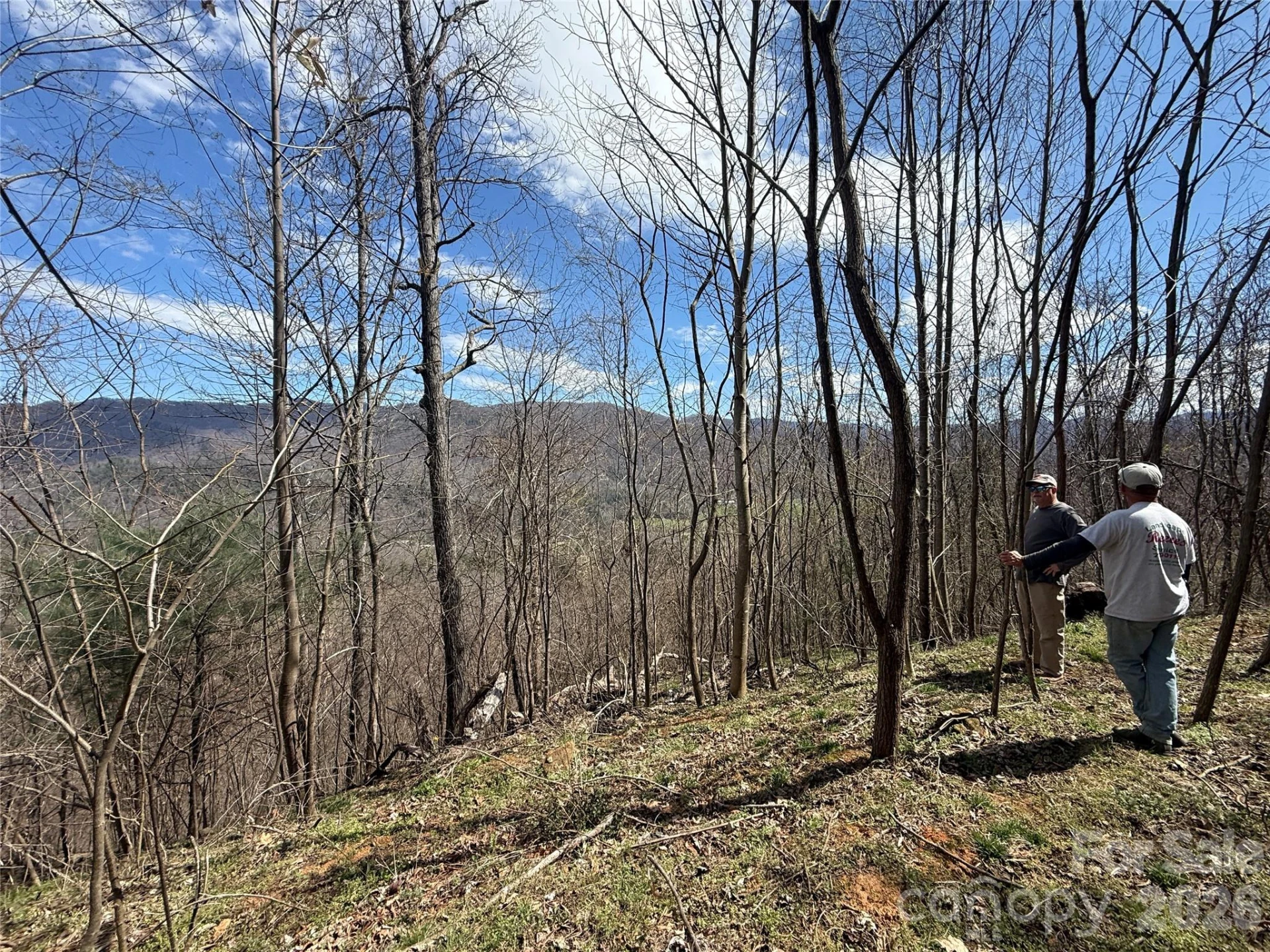 000 Caldwell Mountain Road - Photo 18