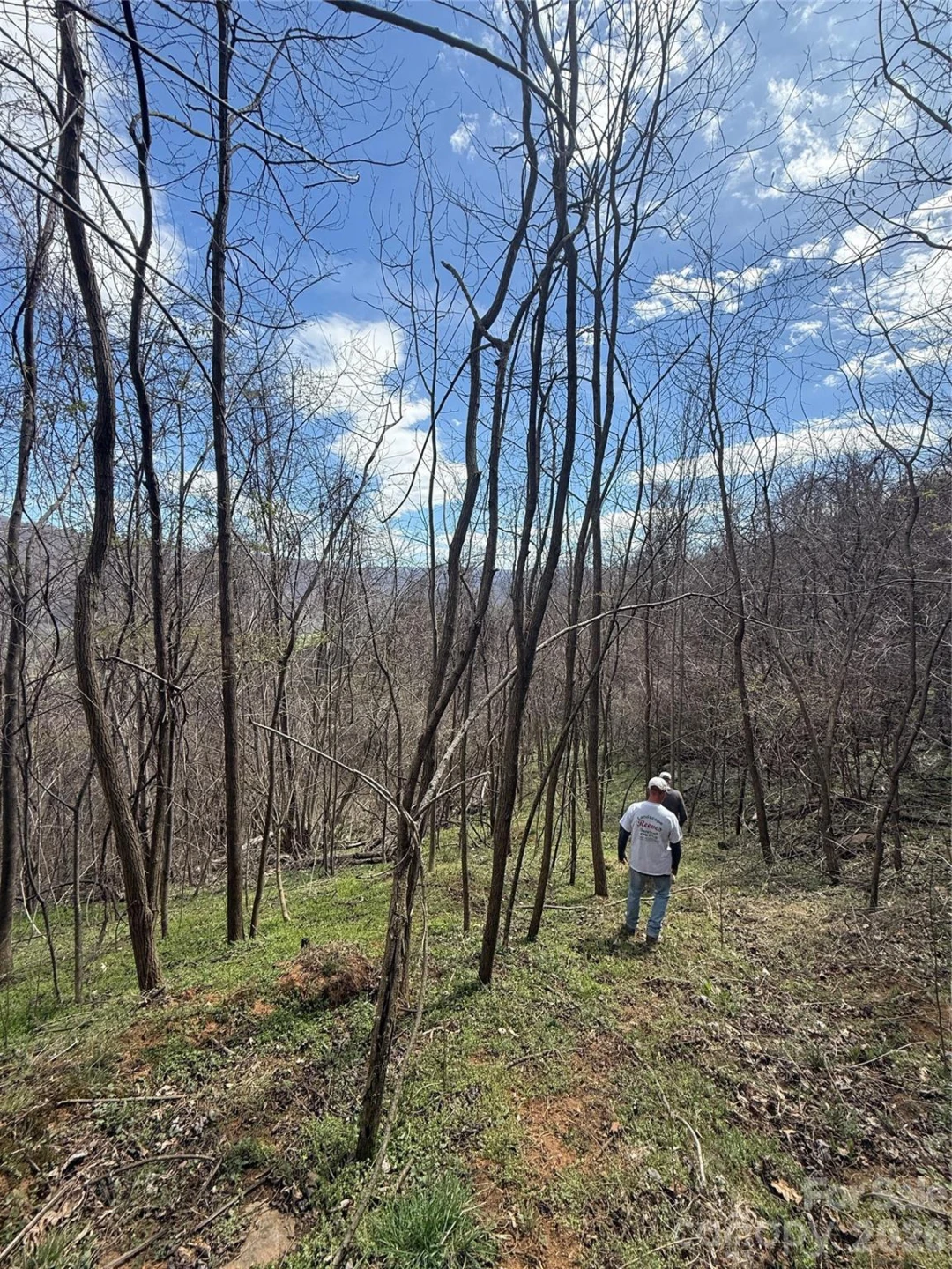 000 Caldwell Mountain Road - Photo 19