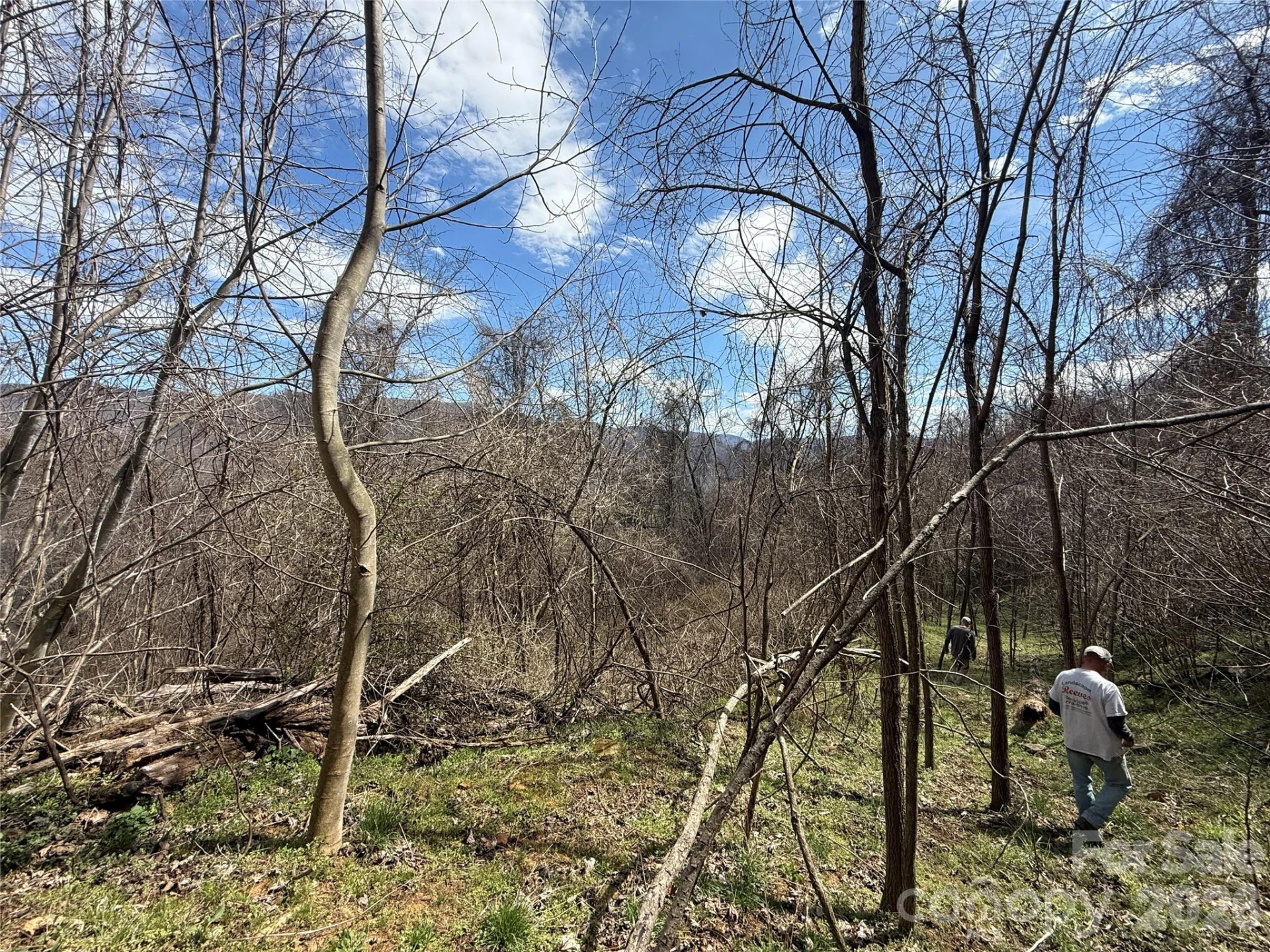 000 Caldwell Mountain Road - Photo 20