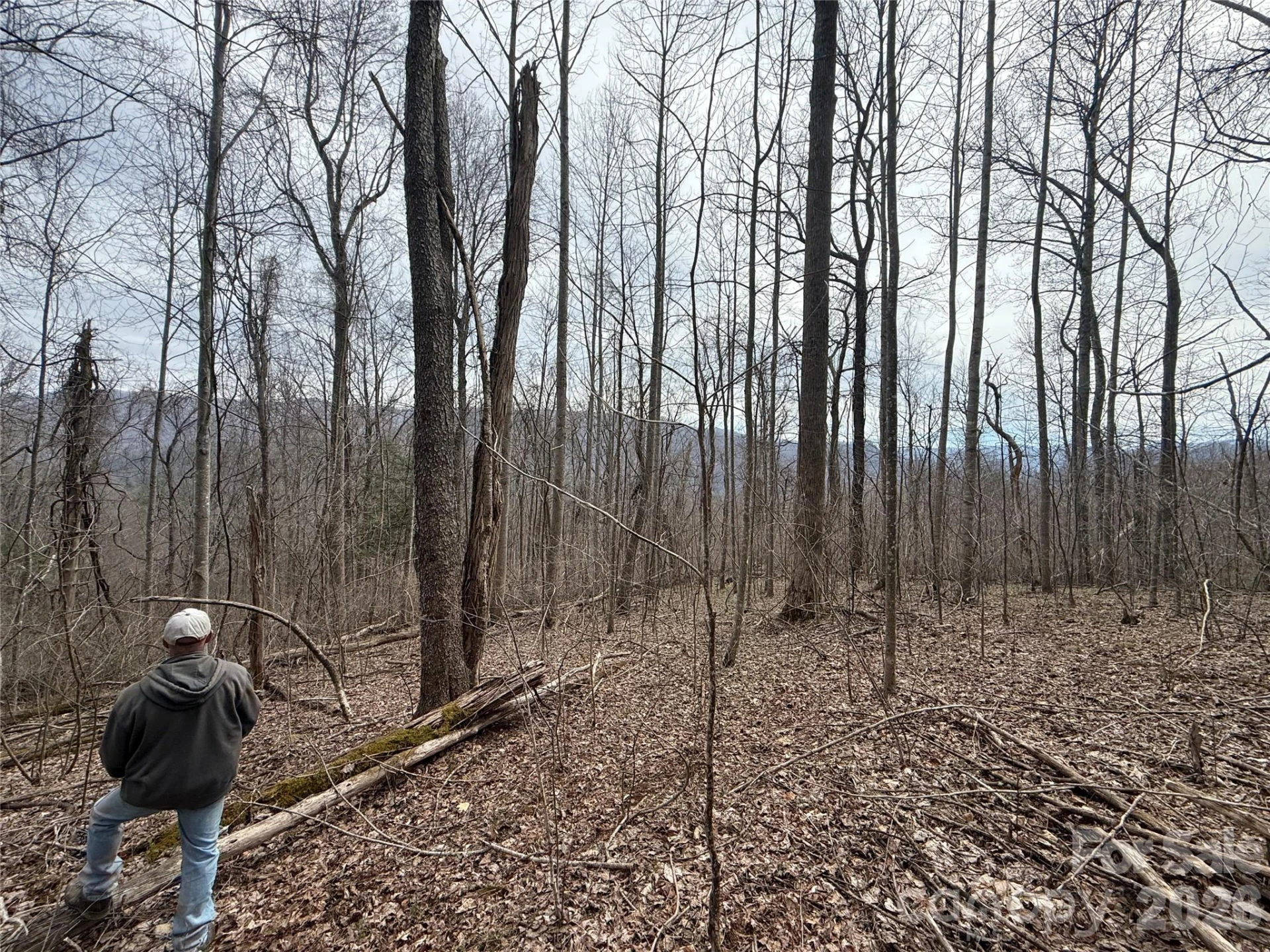 000 Caldwell Mountain Road - Photo 3