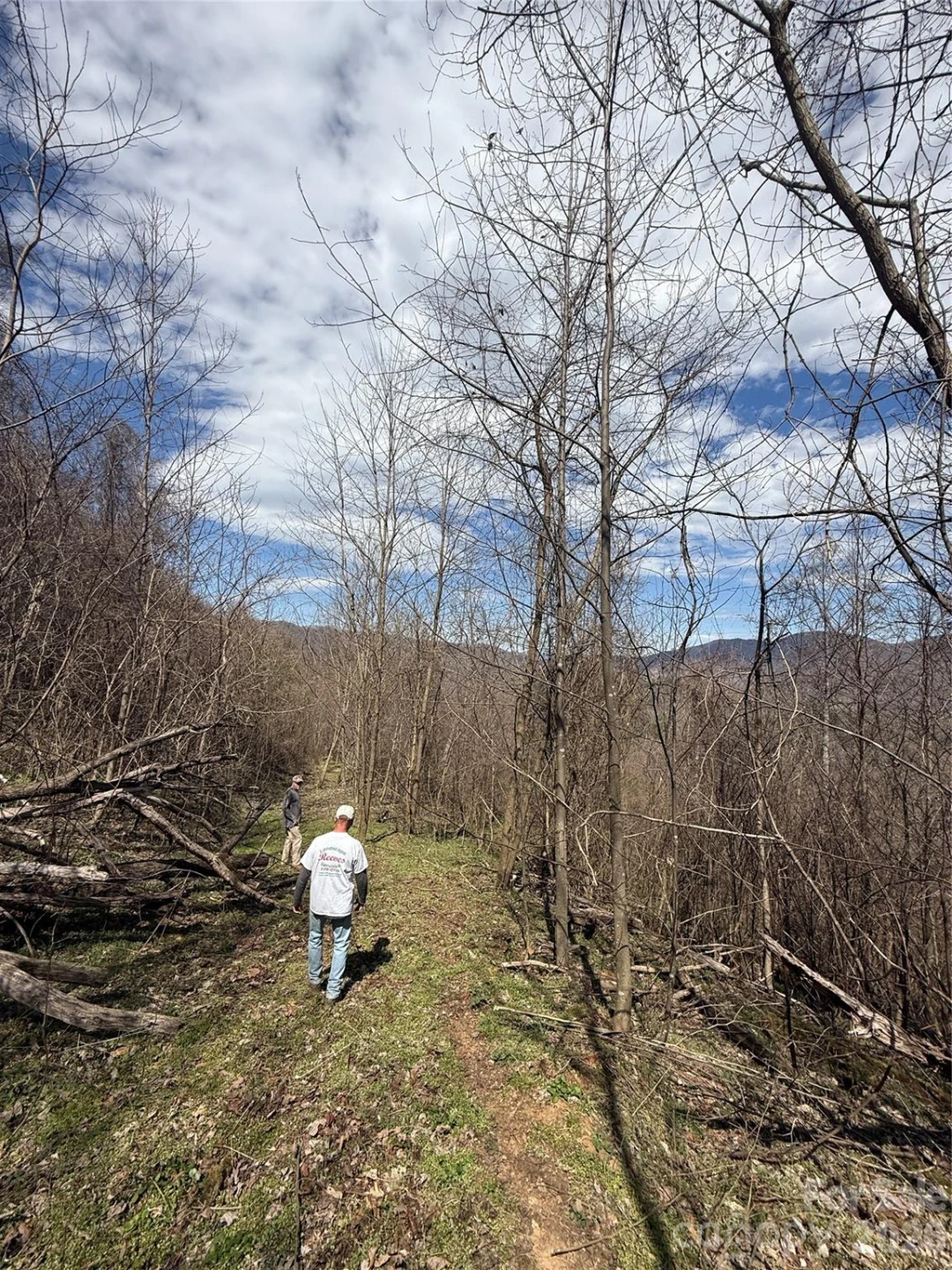 000 Caldwell Mountain Road - Photo 23