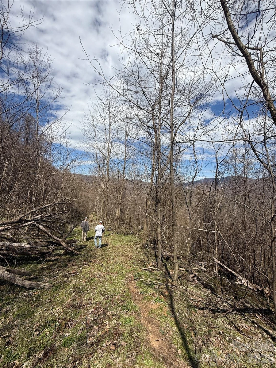 000 Caldwell Mountain Road - Photo 24