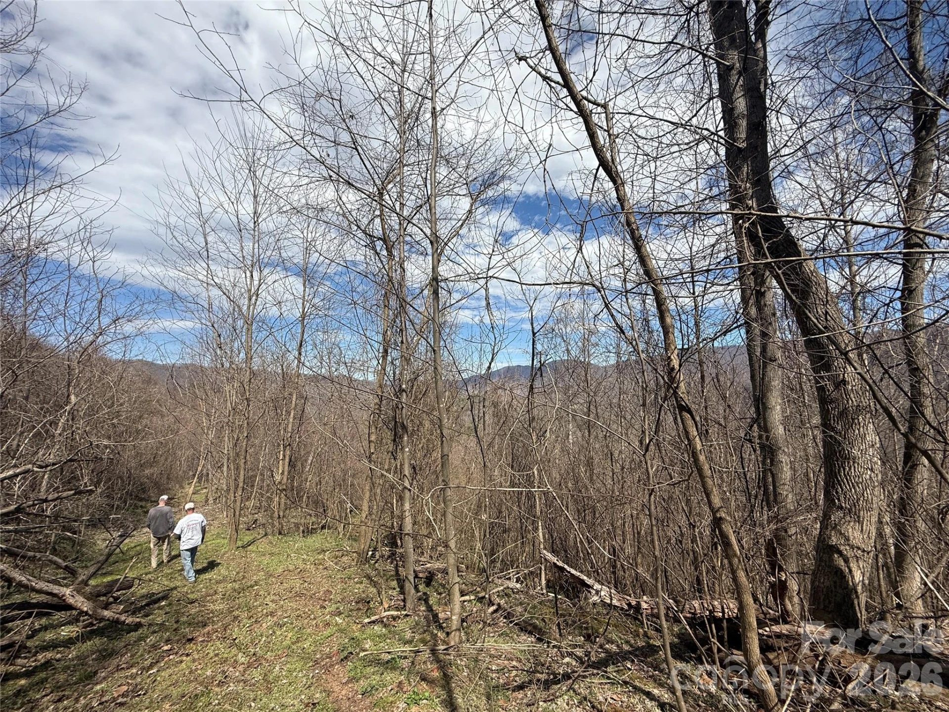 000 Caldwell Mountain Road - Photo 25