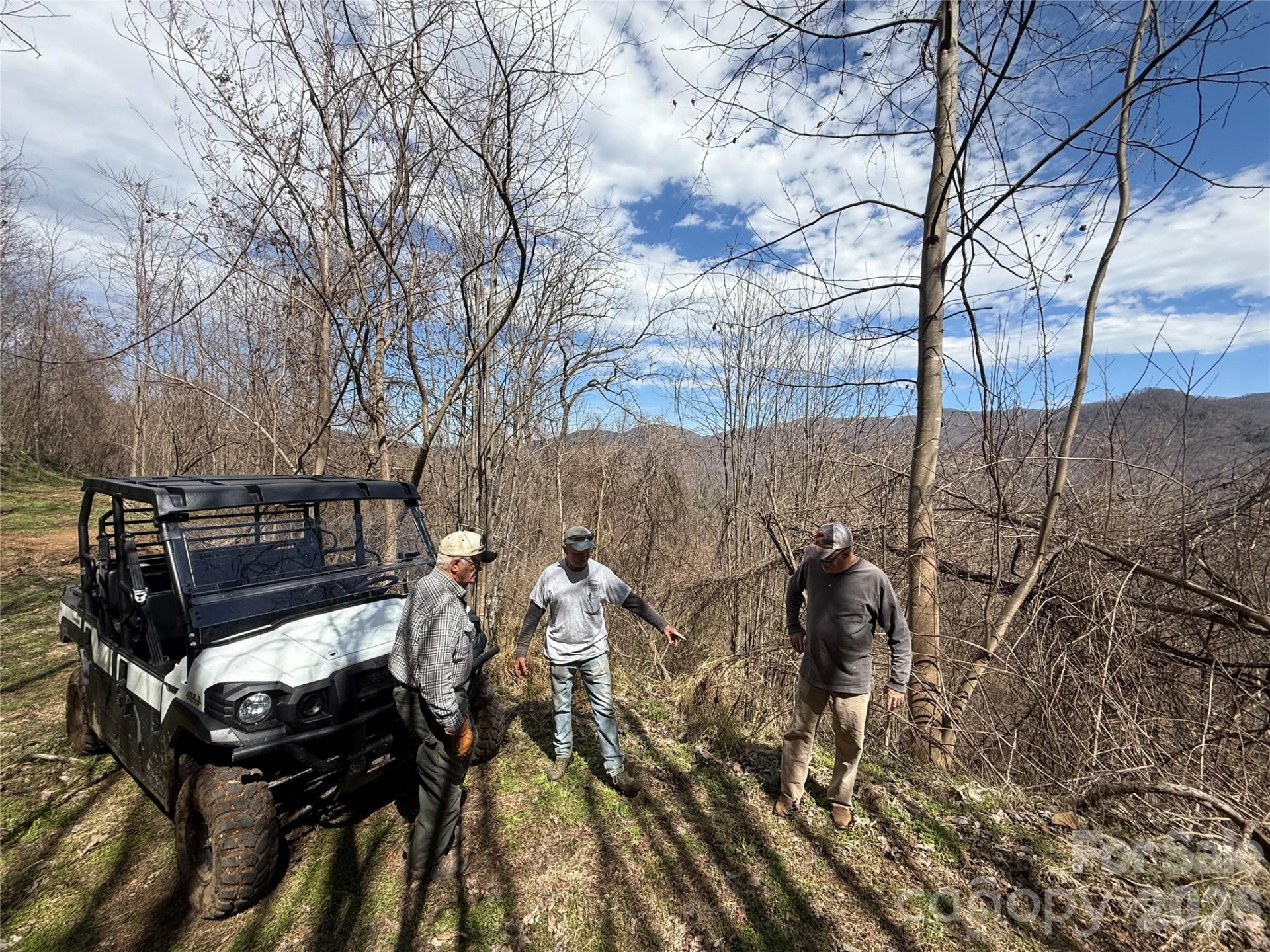 000 Caldwell Mountain Road - Photo 26