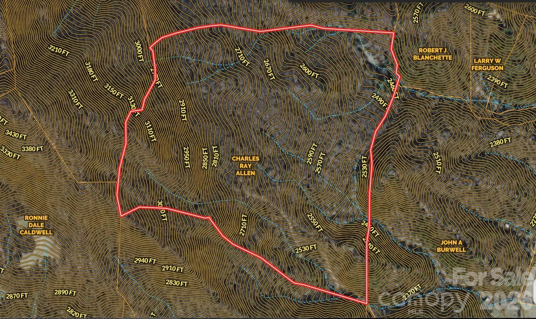 000 Caldwell Mountain Road - Photo 31