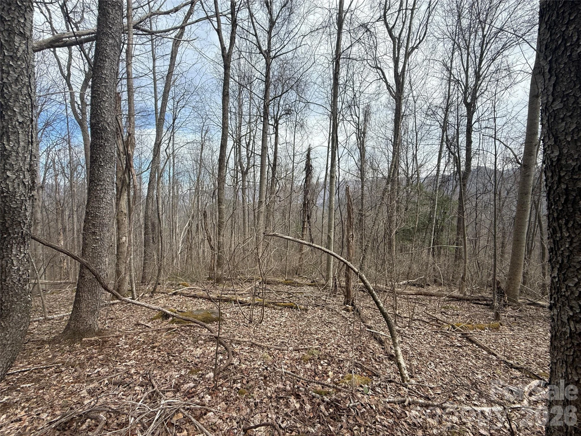 000 Caldwell Mountain Road - Photo 5