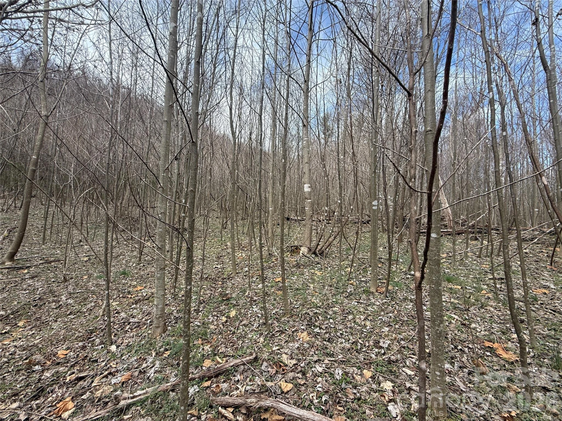 000 Caldwell Mountain Road - Photo 7