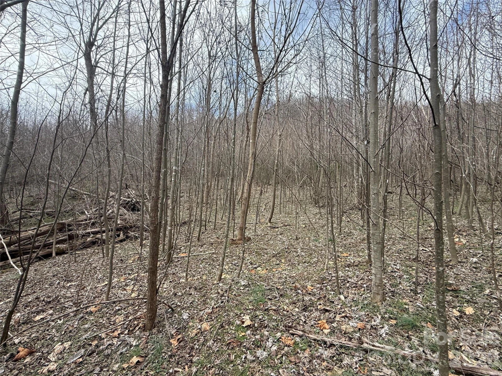 000 Caldwell Mountain Road - Photo 8