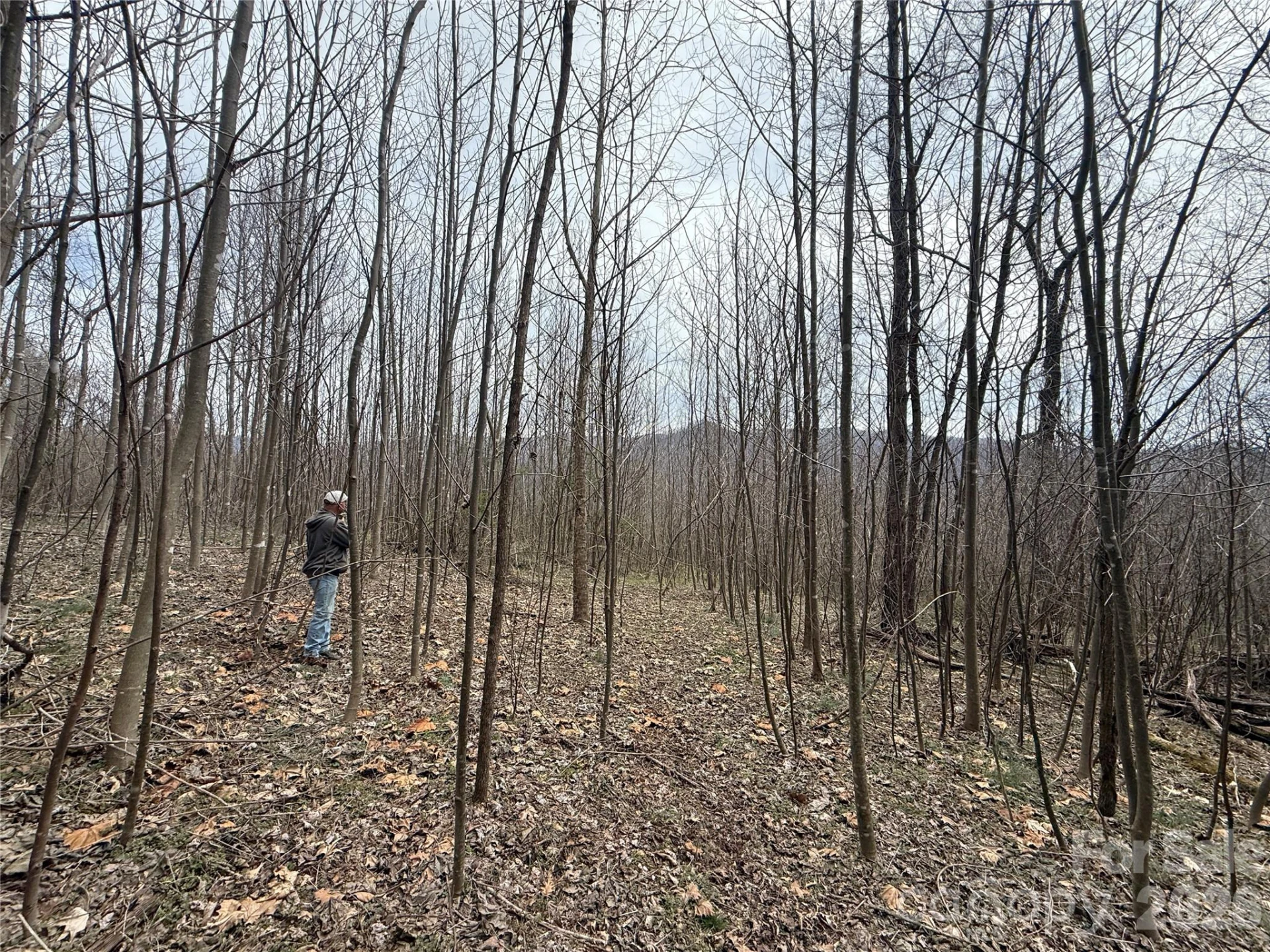 000 Caldwell Mountain Road - Photo 9