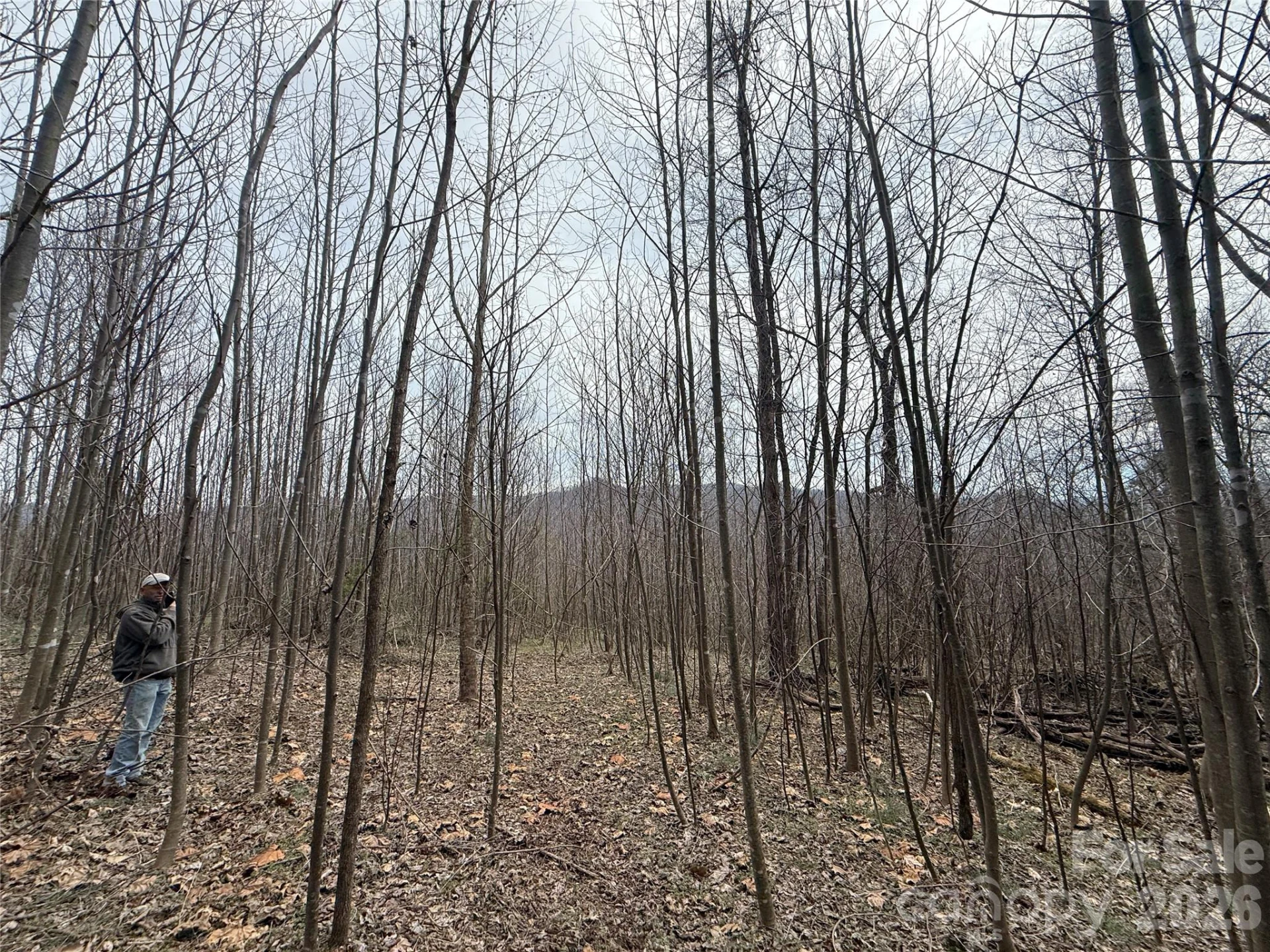 000 Caldwell Mountain Road - Photo 10