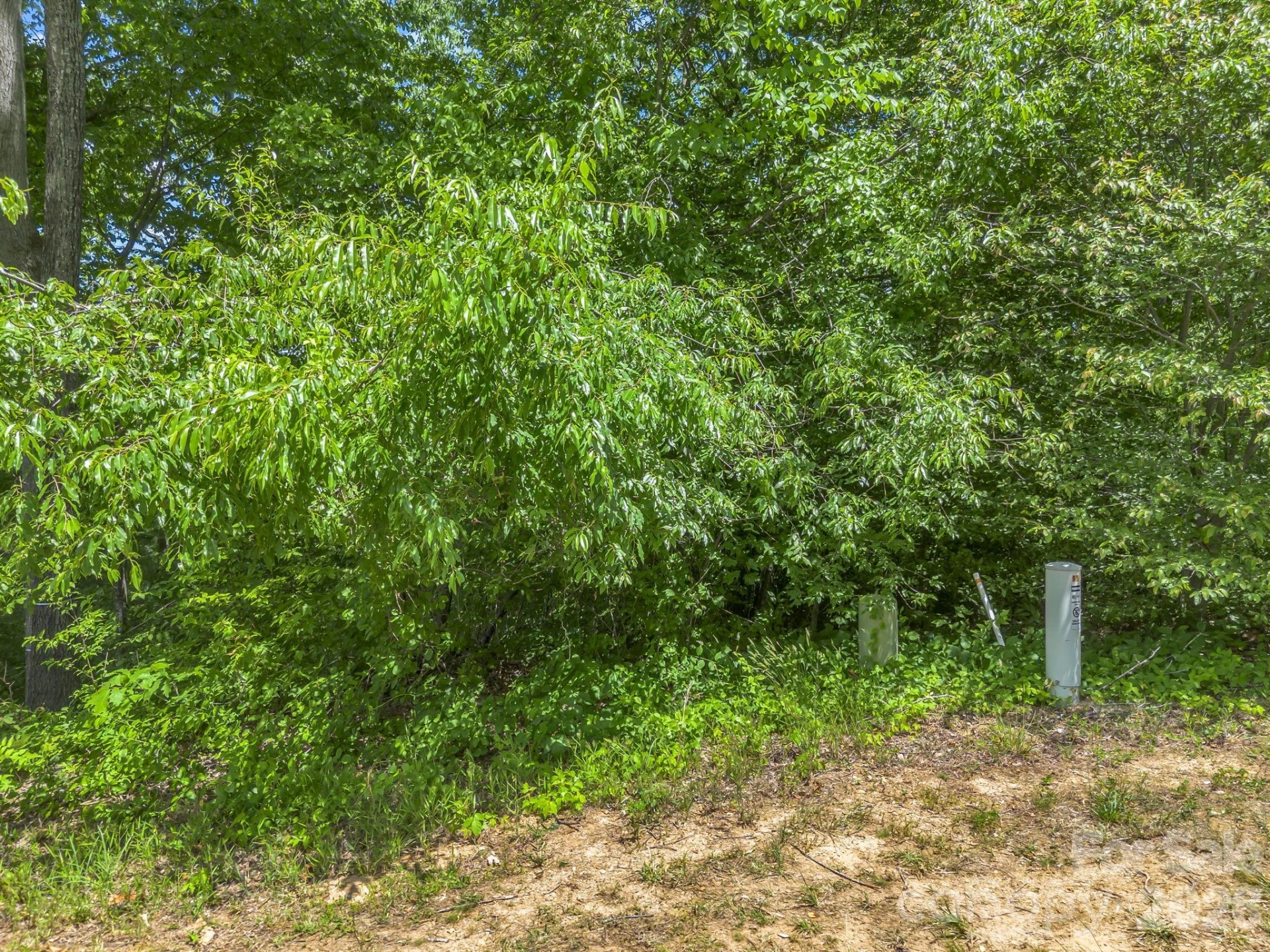 65 Bradford Vistas Vista - Photo 12