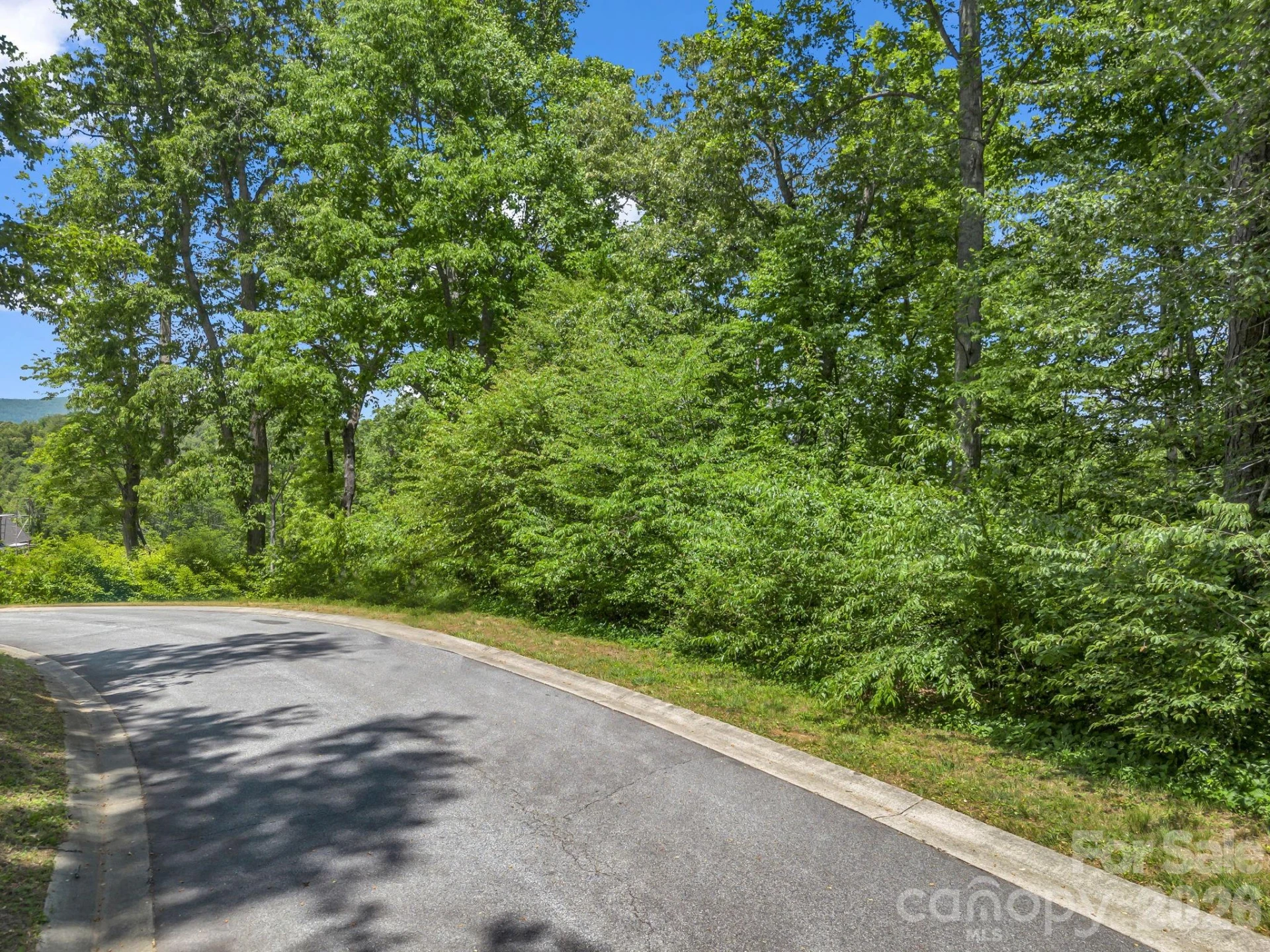 65 Bradford Vistas Vista - Photo 8
