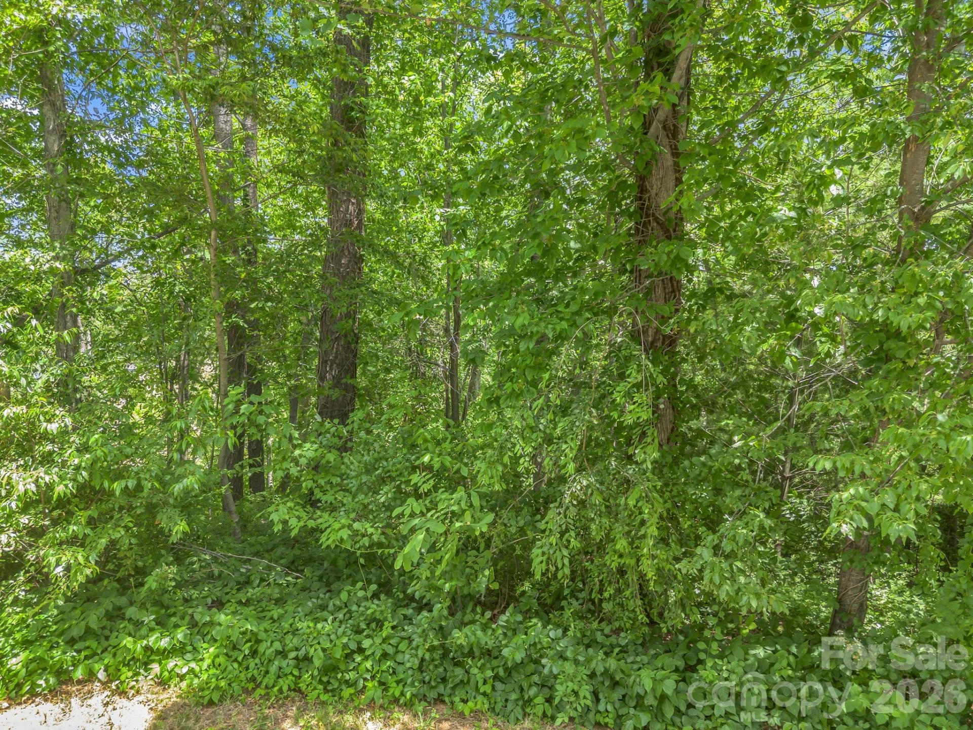 65 Bradford Vistas Vista - Photo 9
