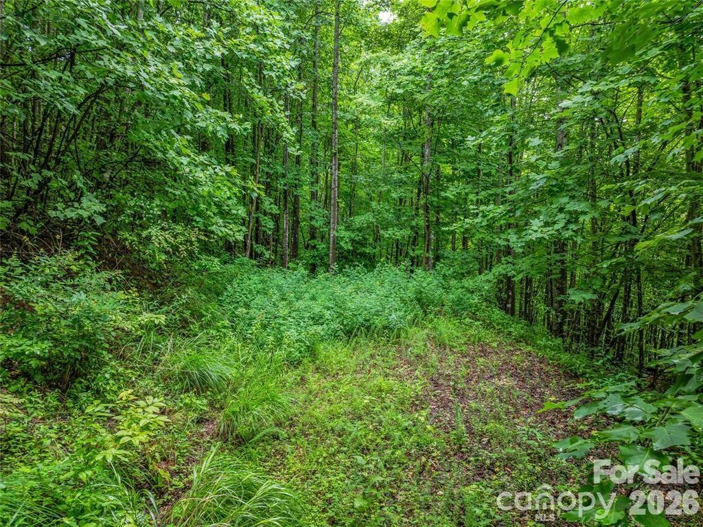 153 Kestrel Lane #T-64 - Photo 11
