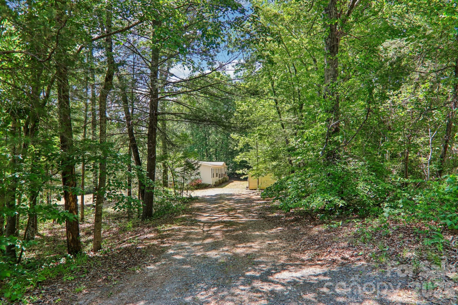 125 Cove Creek Drive - Photo 4