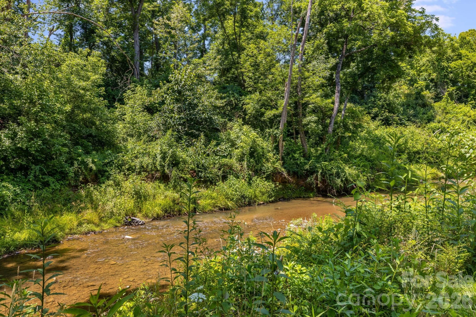 67 Banks Town Road - Photo 2