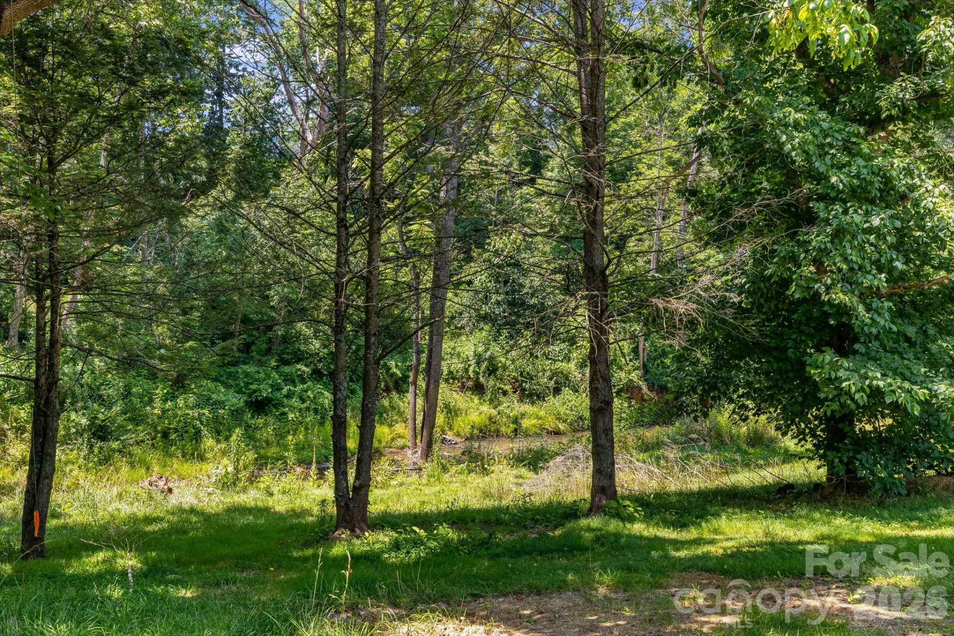 67 Banks Town Road - Photo 33