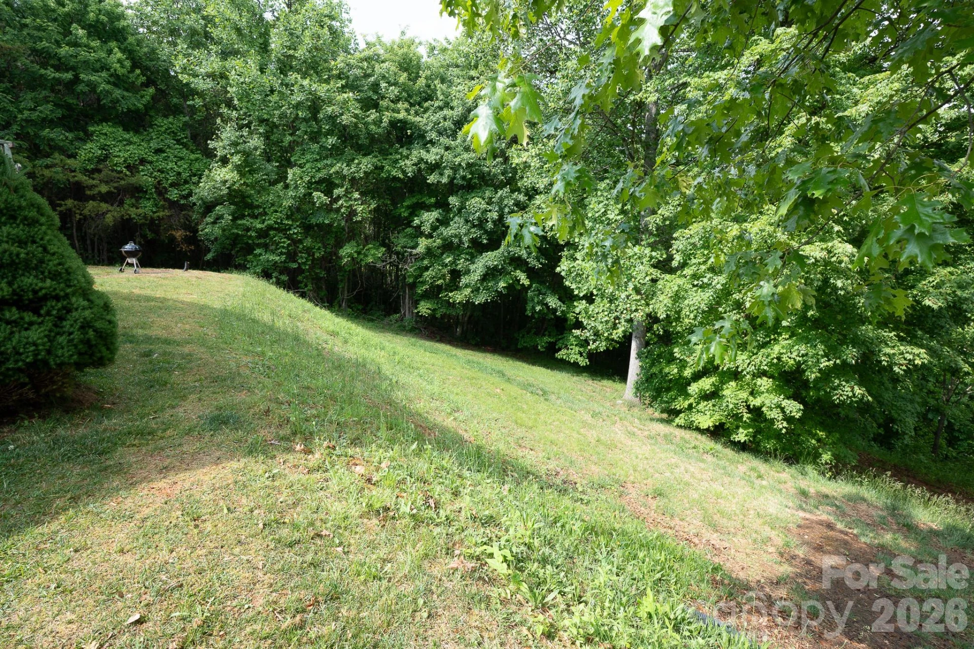 451 Rustic Ridge Drive - Photo 37
