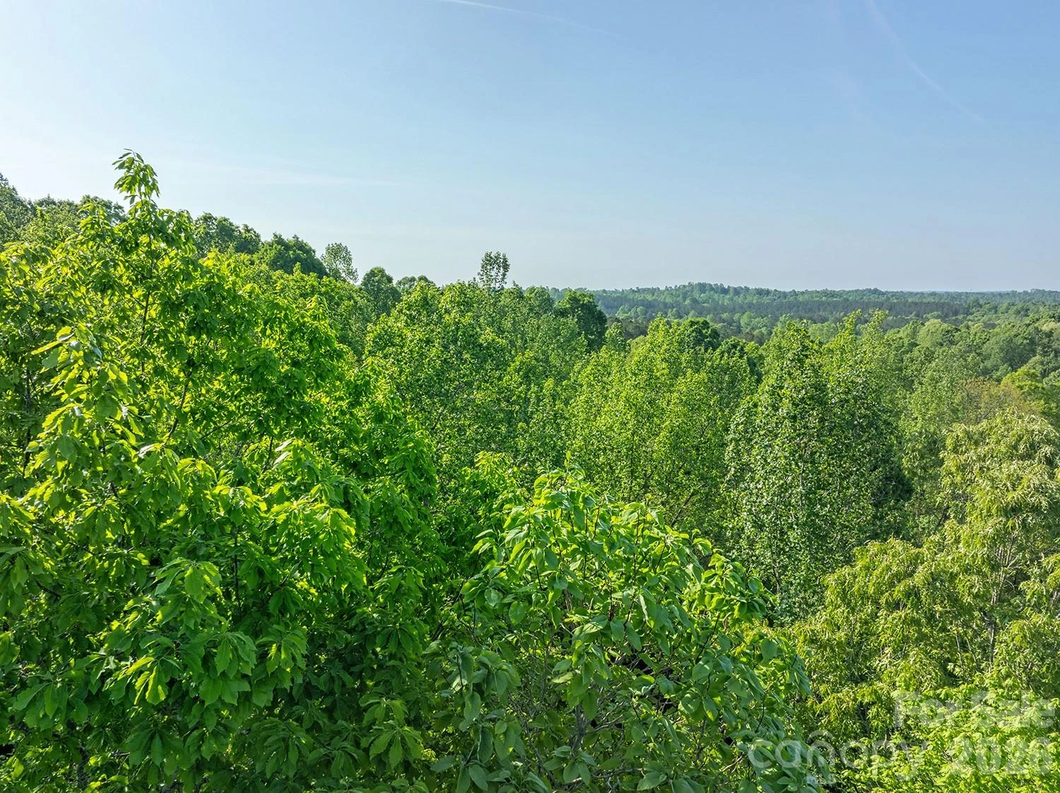 4444 Groves Road - Photo 6