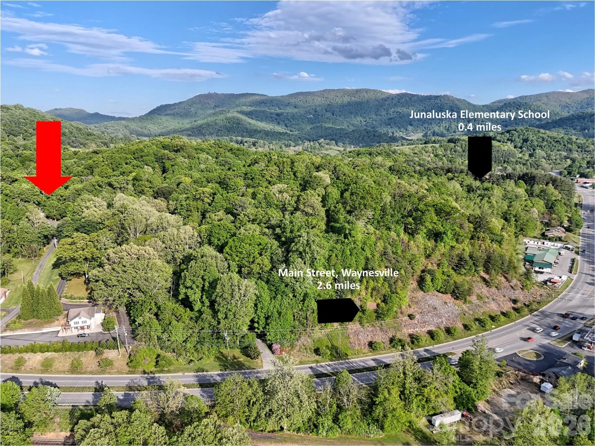 00 Junaluska Oaks Drive - Photo 2
