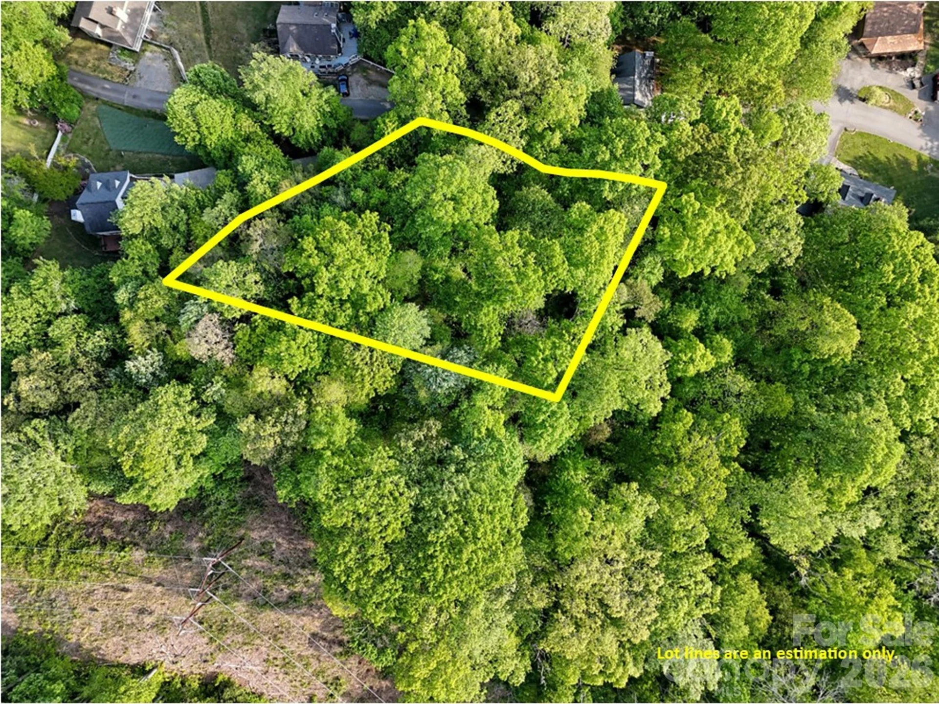 00 Junaluska Oaks Drive - Photo 3