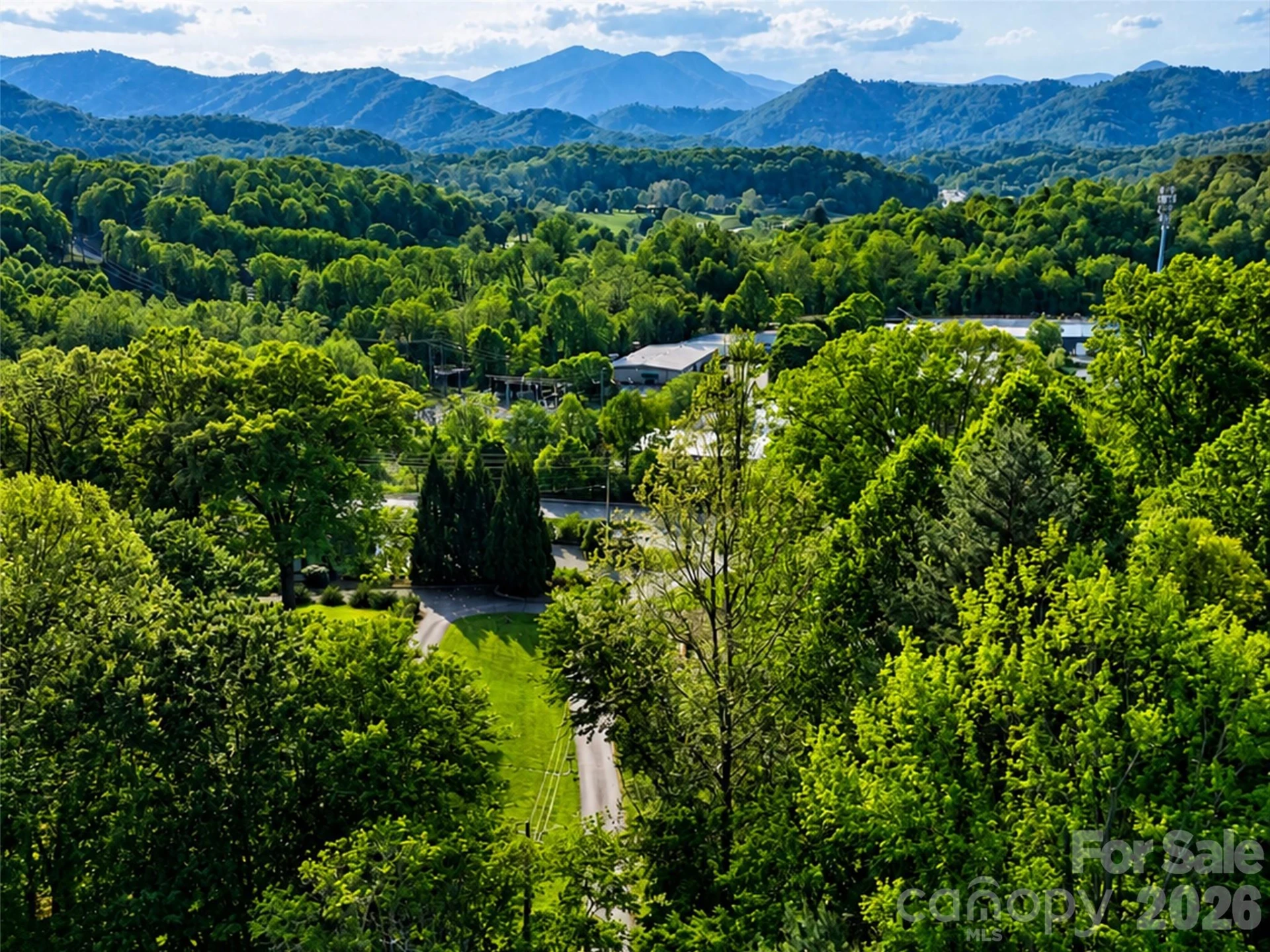 00 Junaluska Oaks Drive - Photo 4
