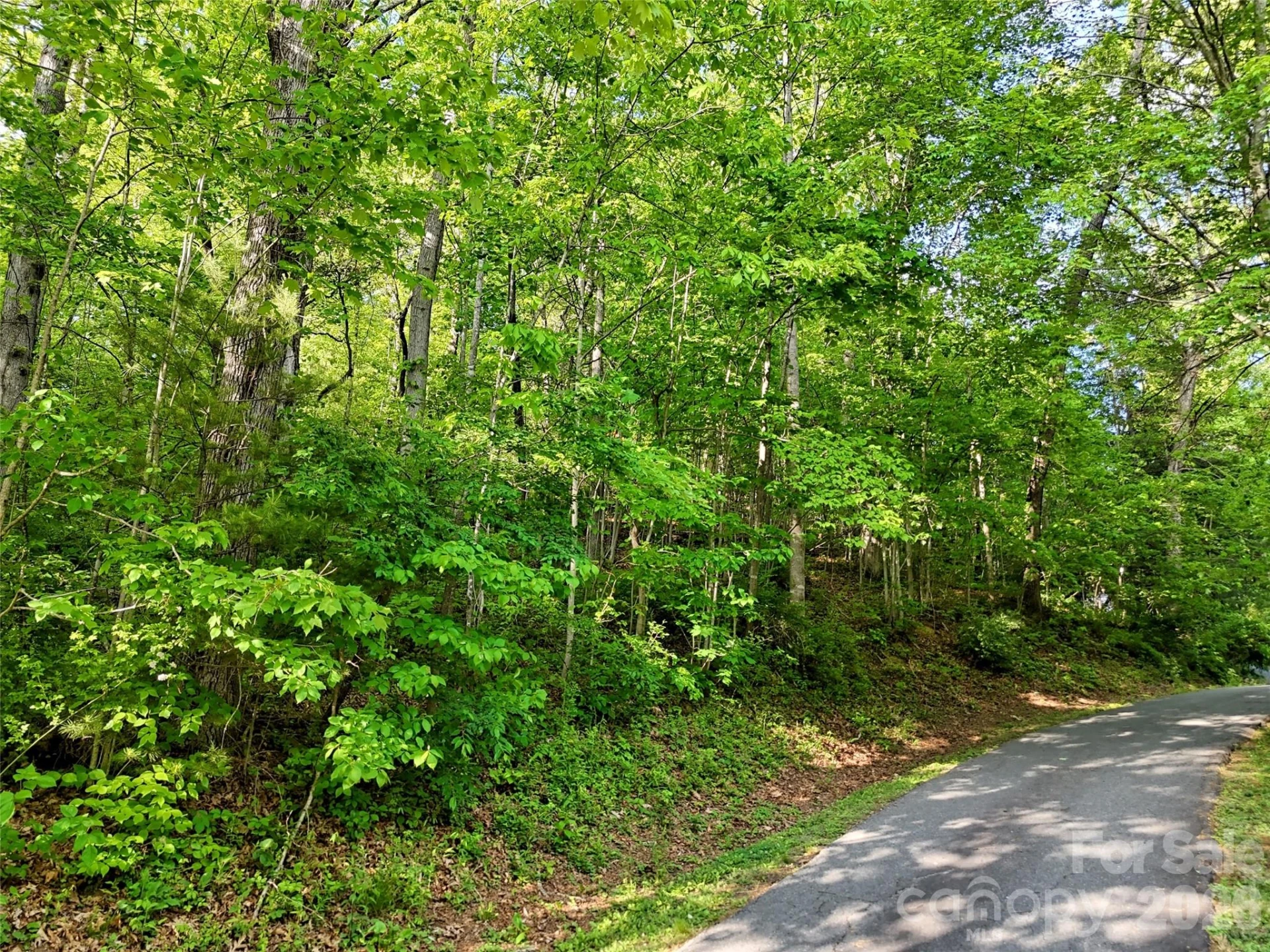 00 Junaluska Oaks Drive - Photo 6