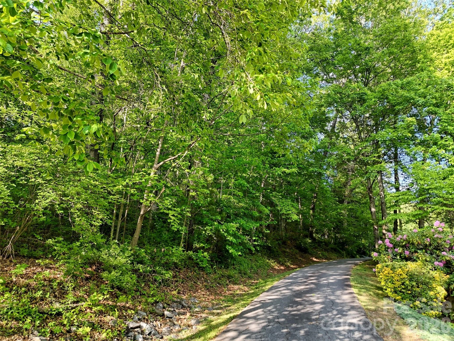 00 Junaluska Oaks Drive - Photo 7