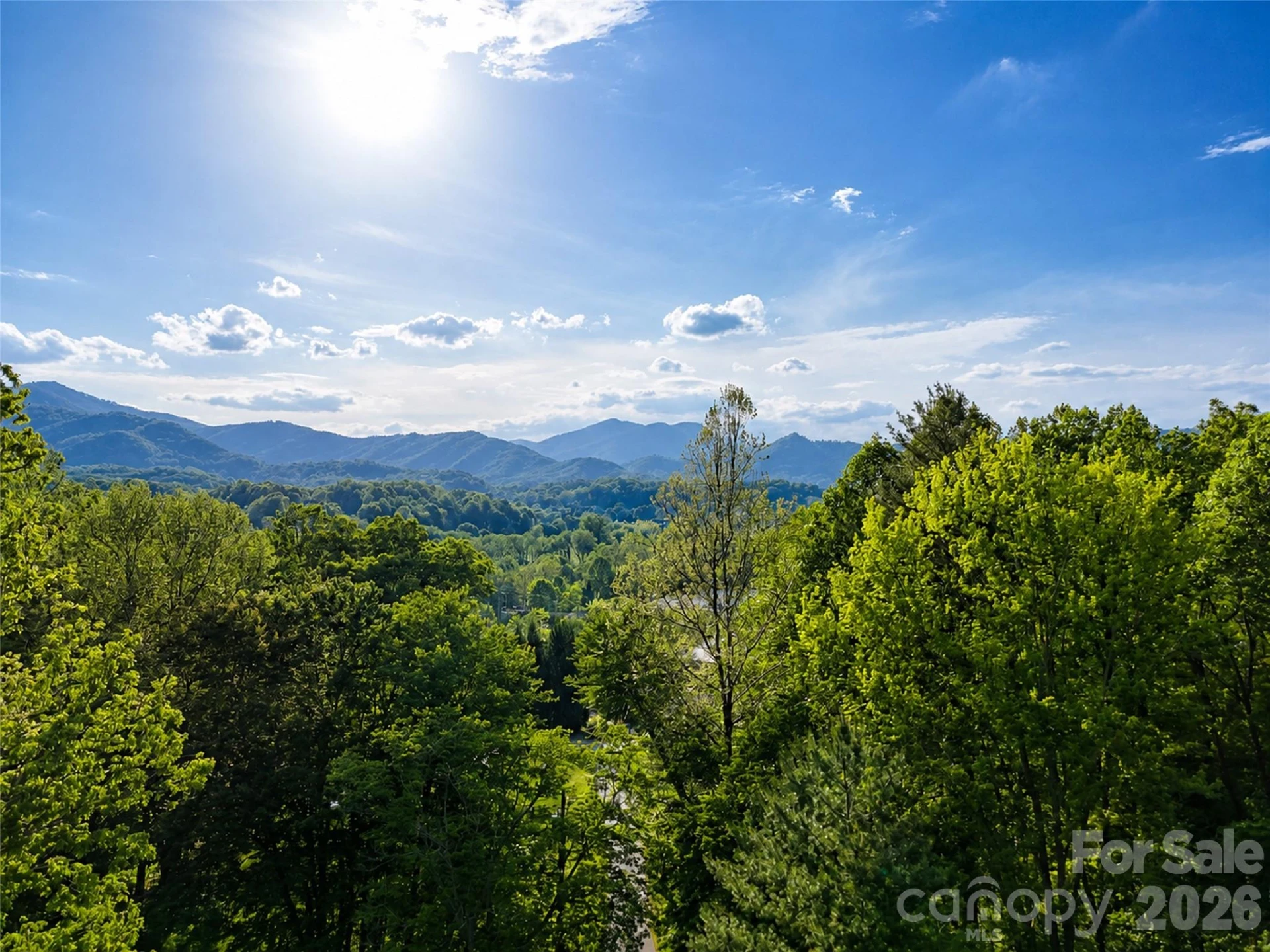 00 Junaluska Oaks Drive - Photo 8