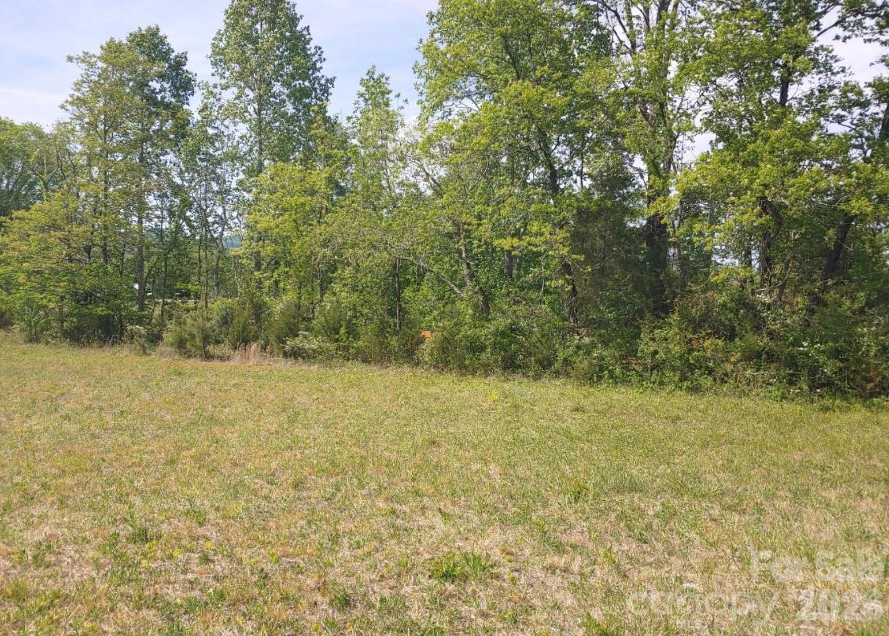 2809 Landis Lane - Photo 7