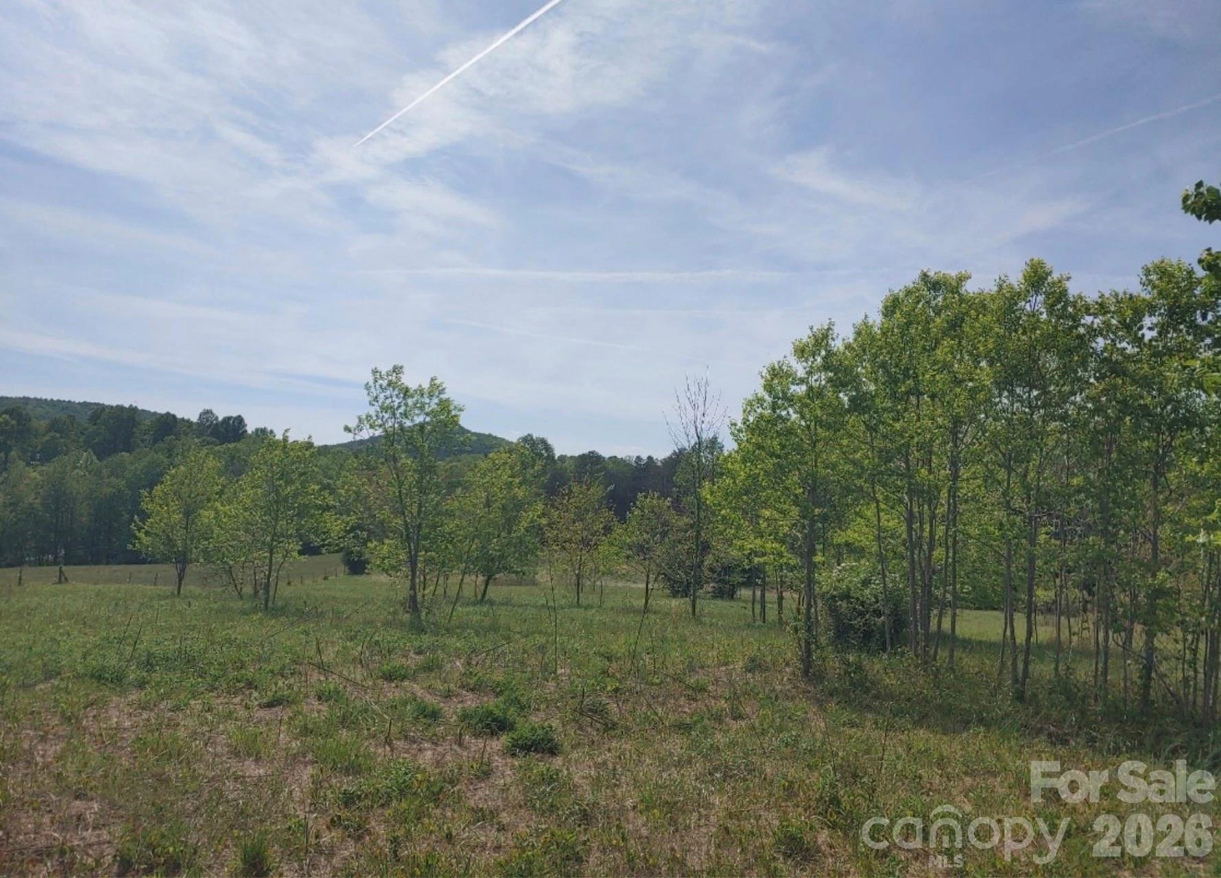 2809 Landis Lane - Photo 8