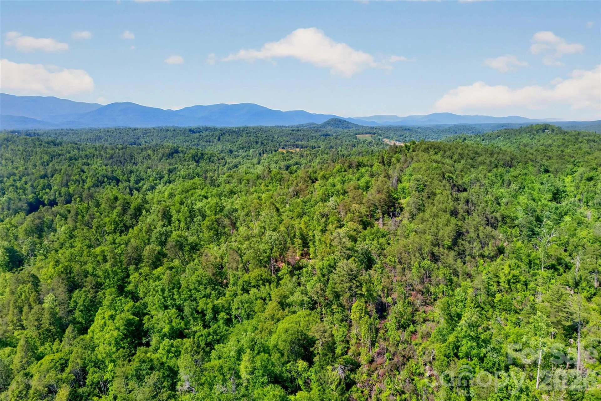 3361 Bethlehem Road - Photo 16