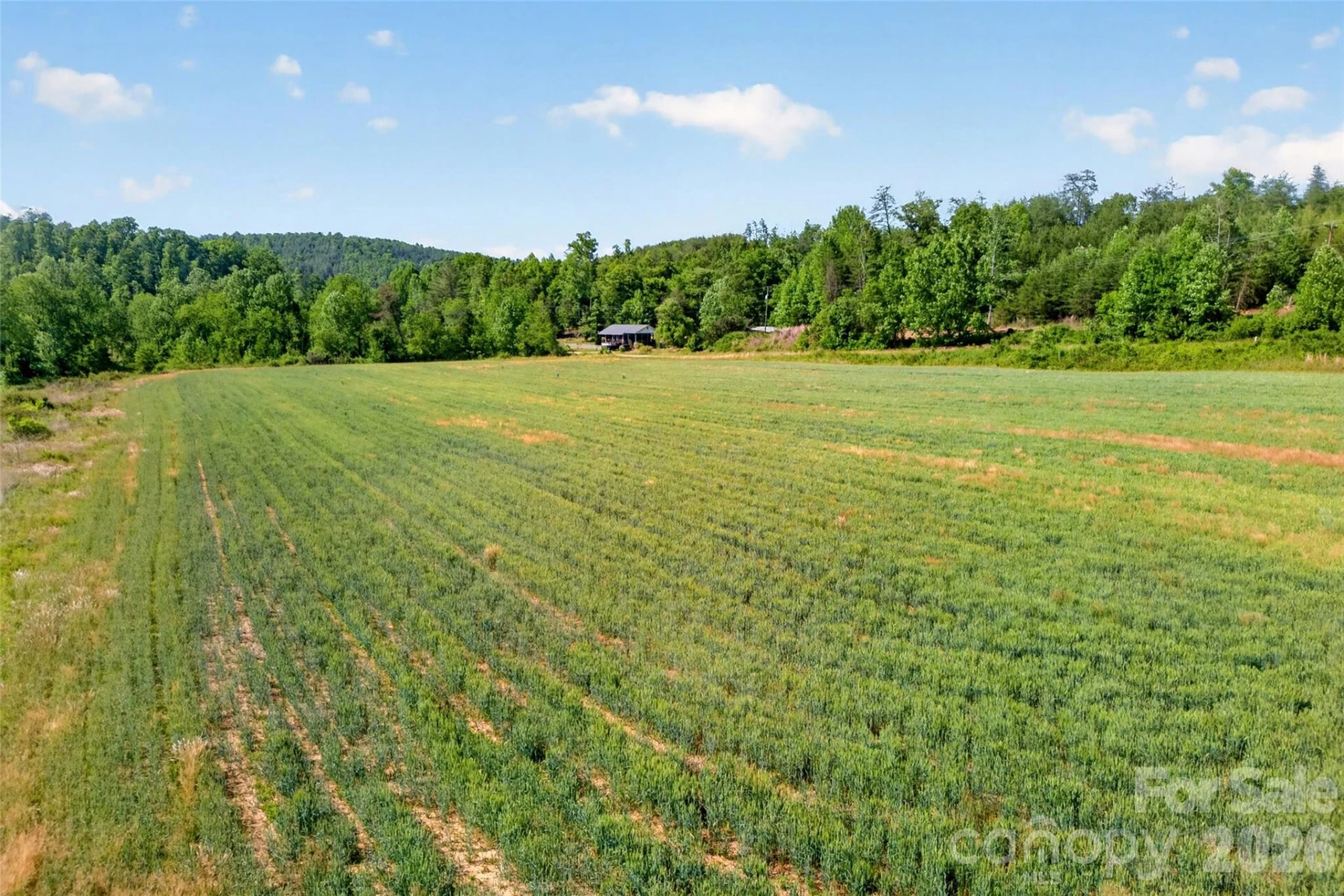 3361 Bethlehem Road - Photo 19
