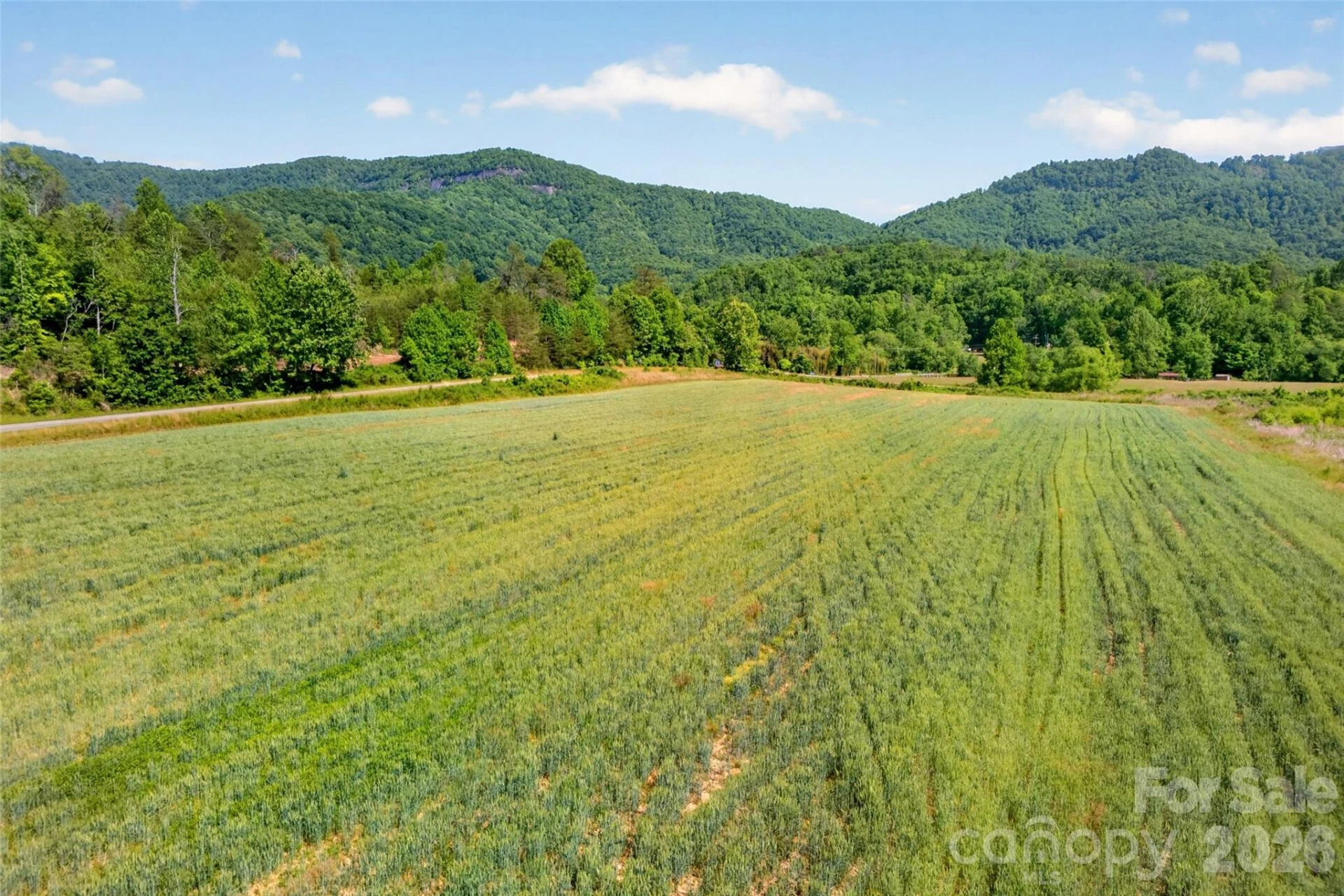 3361 Bethlehem Road - Photo 20